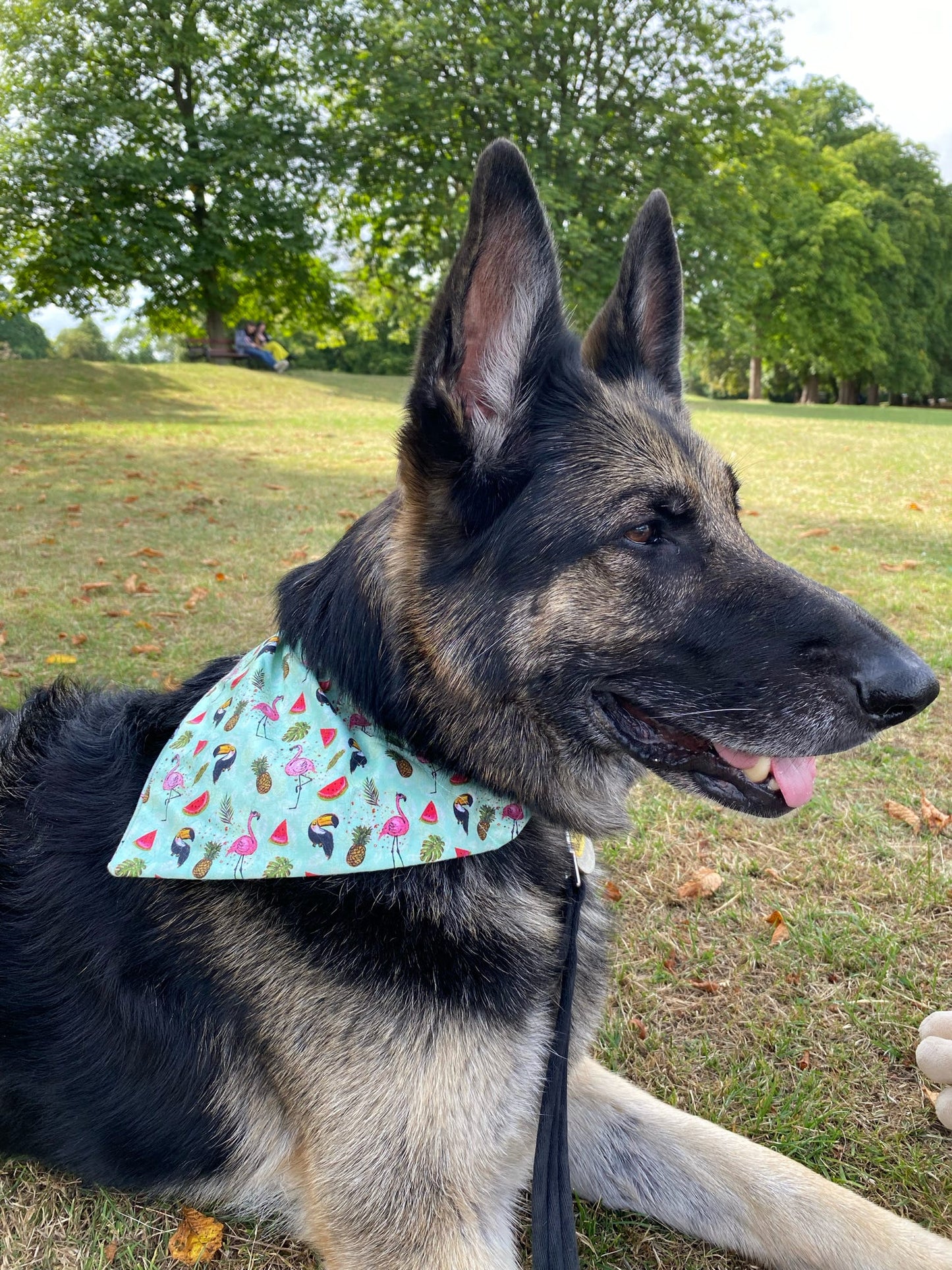 ‘Let’s Flamingo’ Pet Bandana