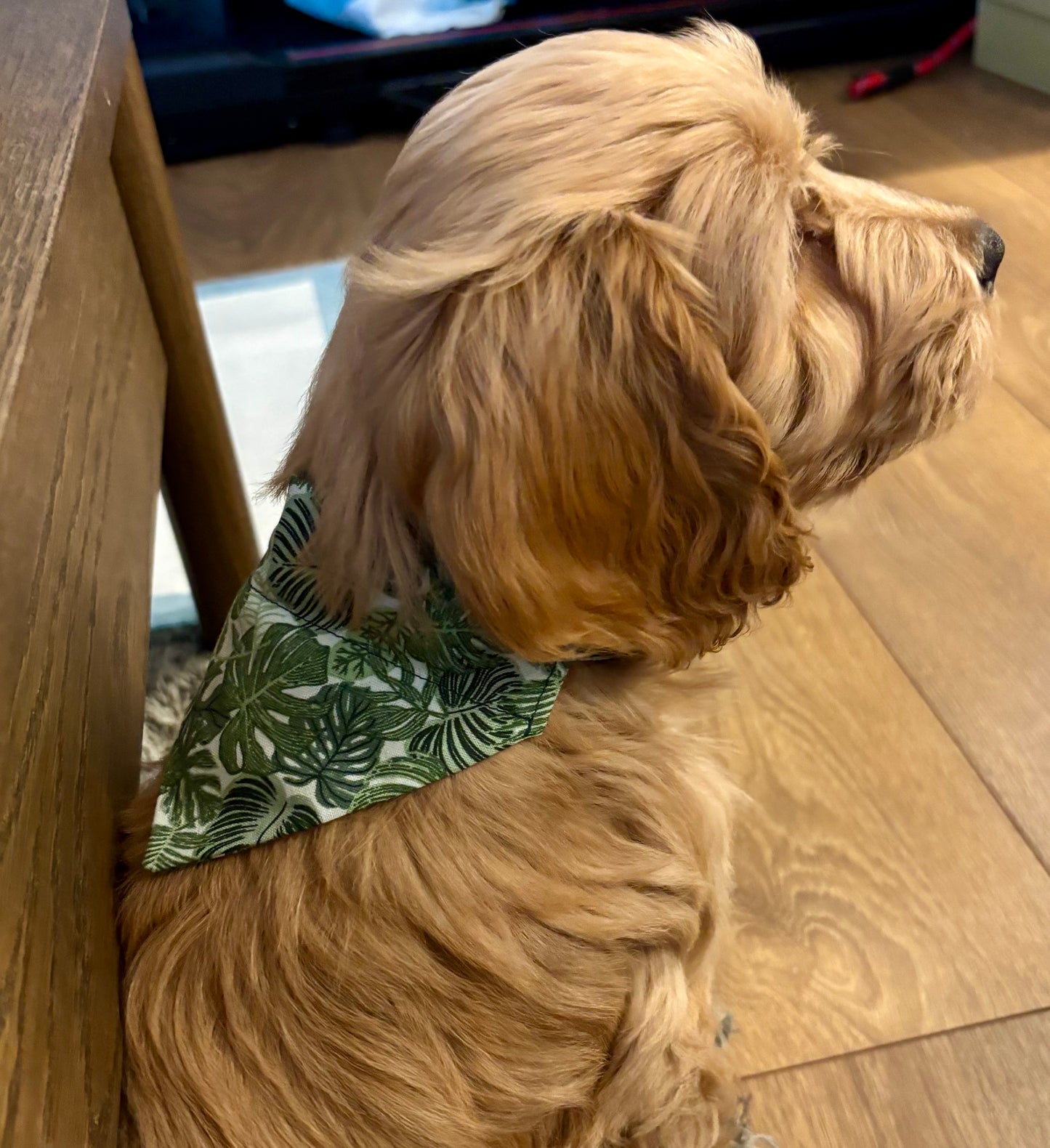‘Safari So Good’ Pet Bandana