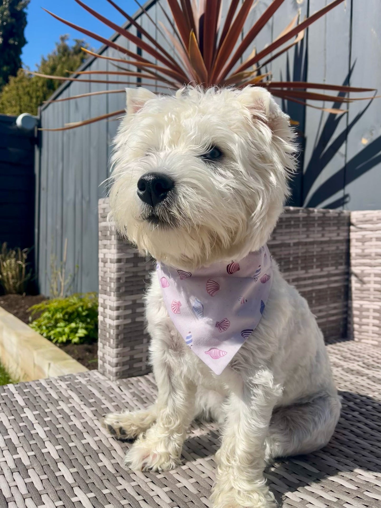 'Shell Yeah!' (Lilac) Pet Bandana