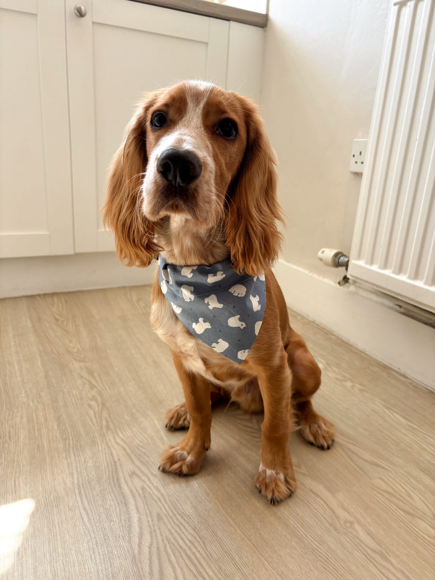 ‘Polar Pawfect’ Pet Bandana
