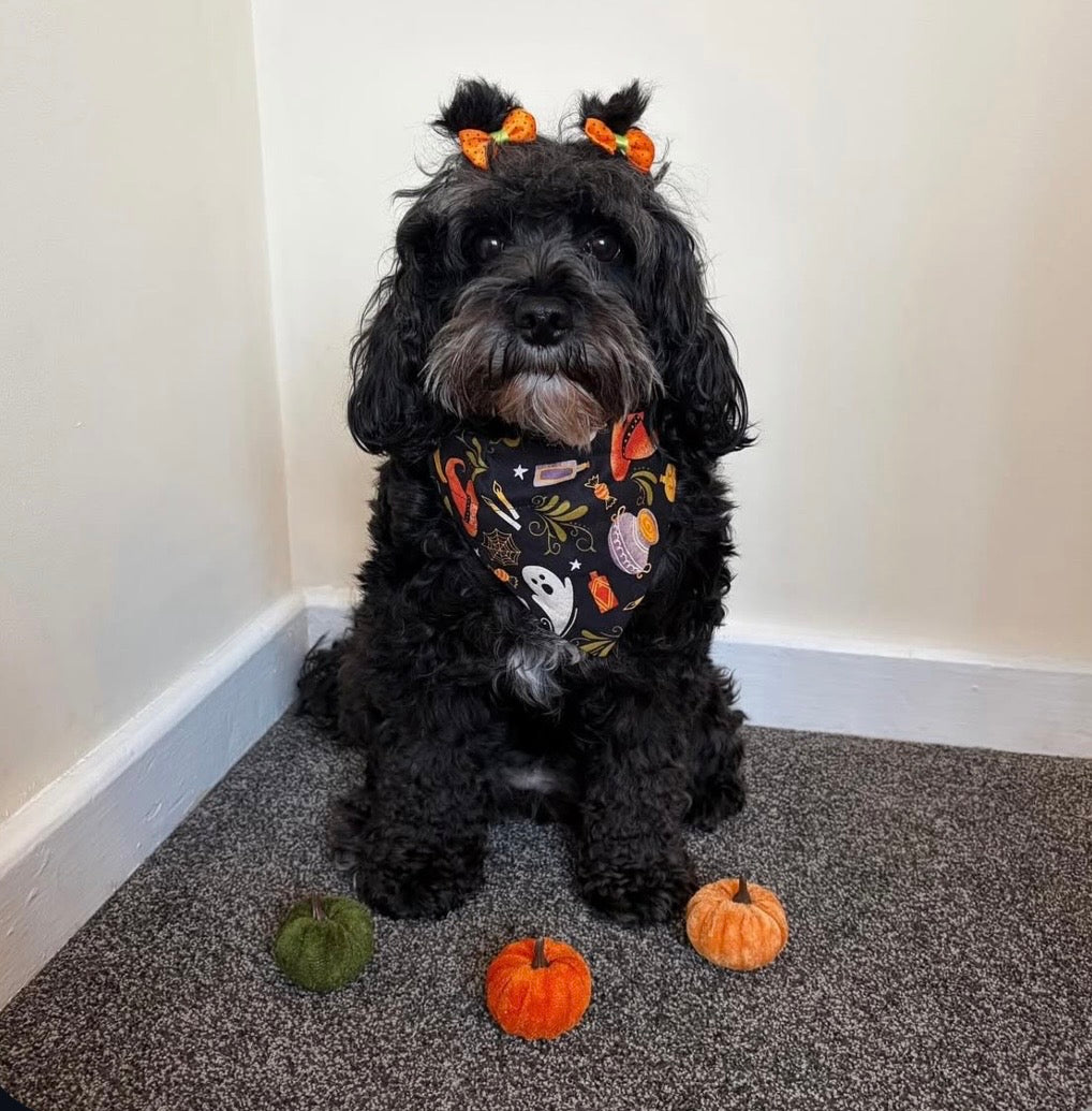‘Too Cute To Spook’ Pet Bandana