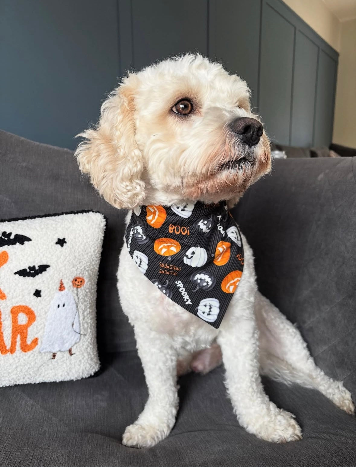Jeepers Creepers Dog Bandana / Cat Bandana