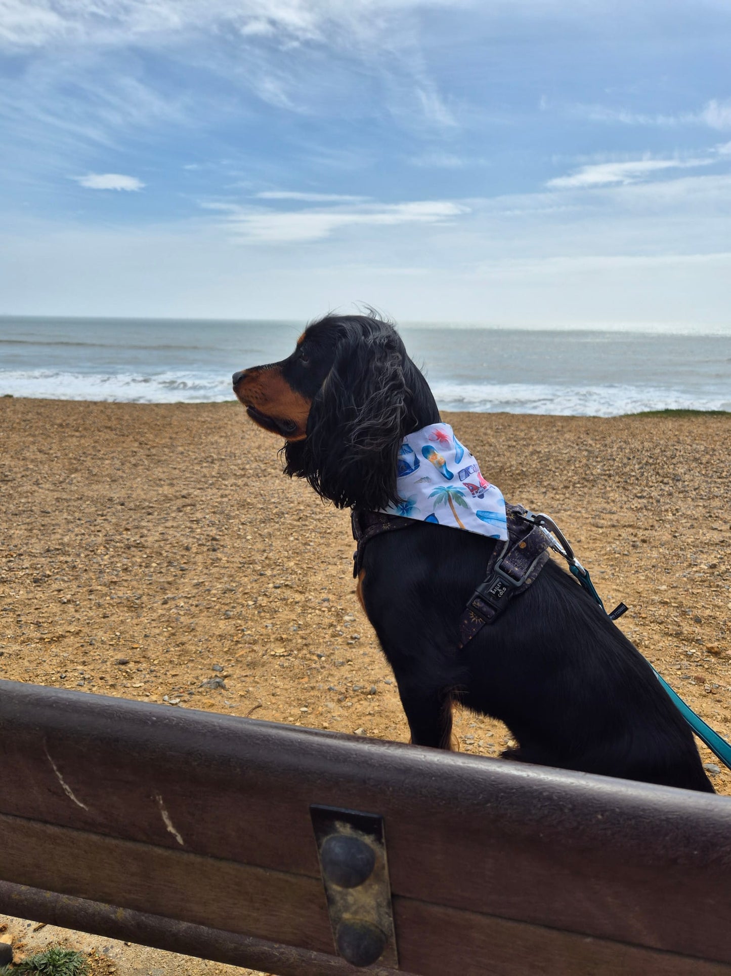 ‘Adventure Ready’ Pet Bandana