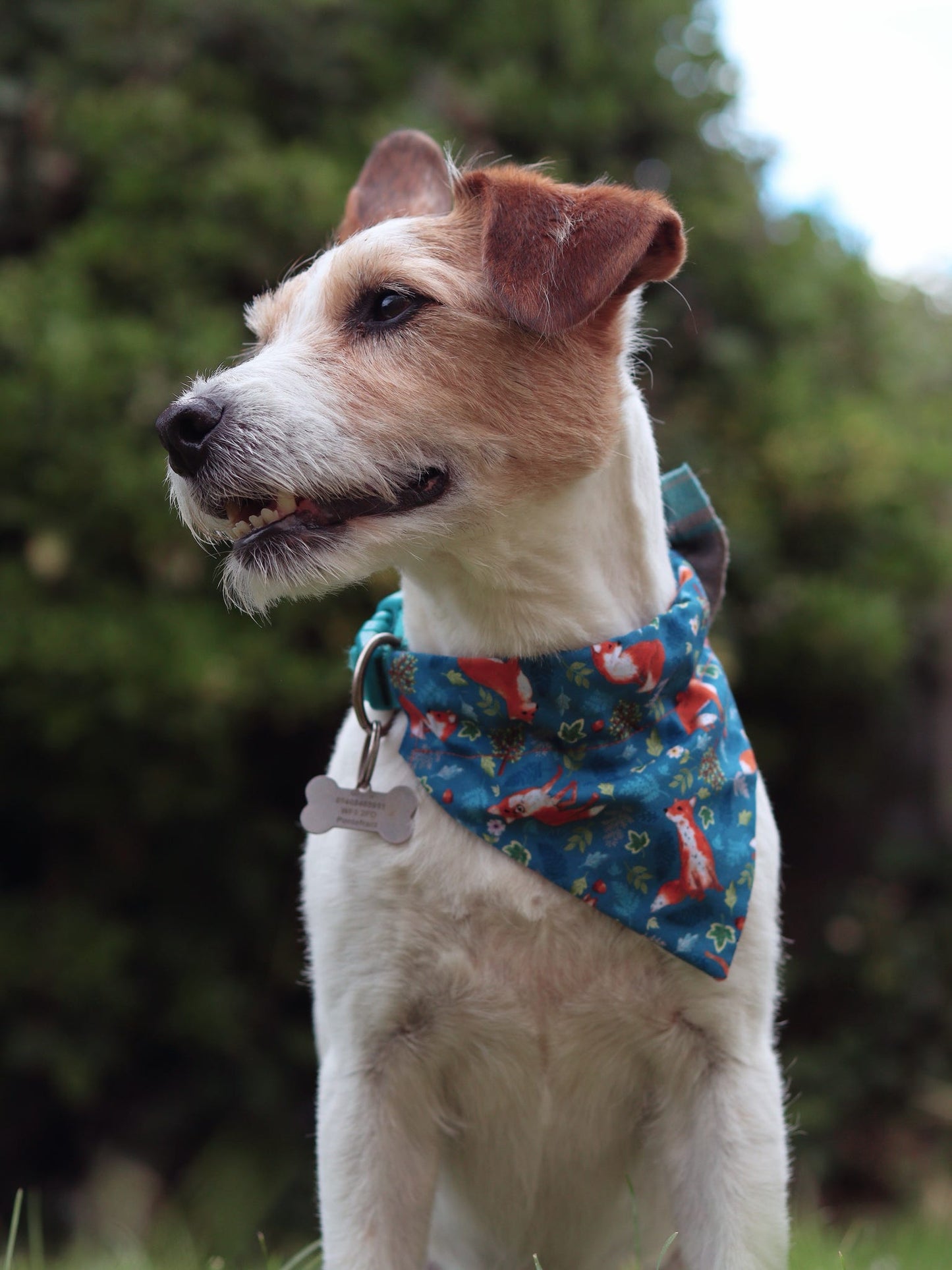 ‘Foxy’ Dog Bandana / Cat Bandana