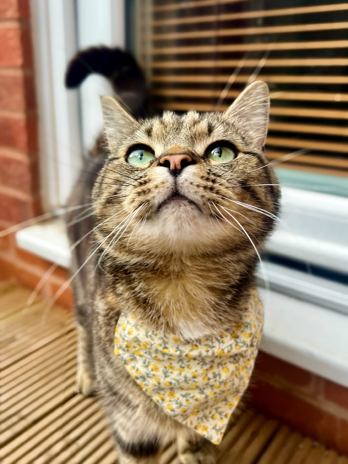 ‘Spring Flowers’ Pet Bandana