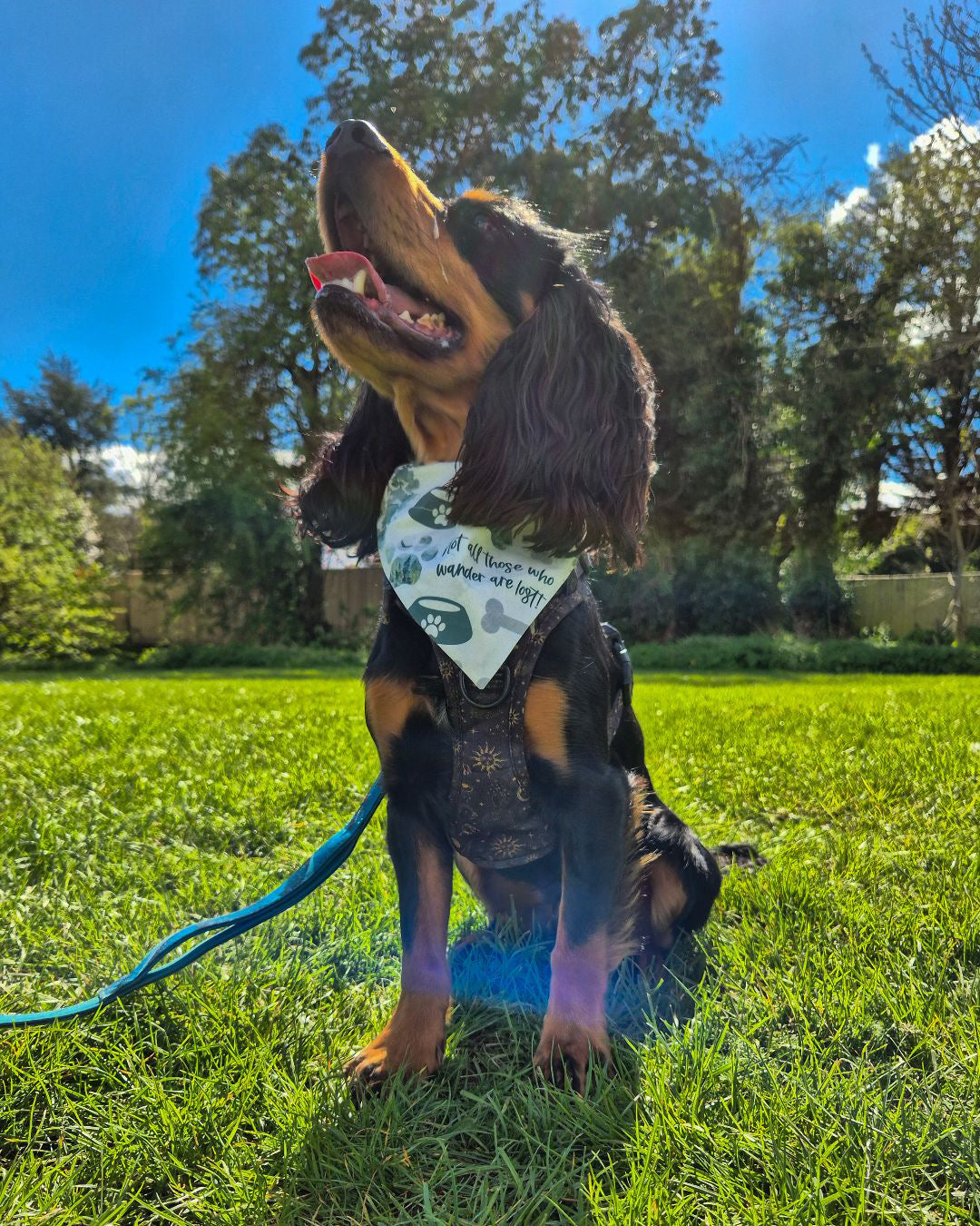 Wild Wanderer Dog Bandana / Cat Bandana