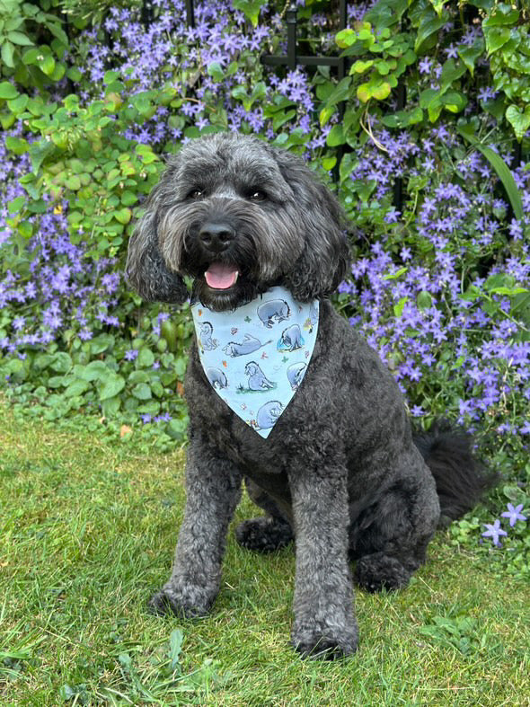 ‘Eeyore’ Pet Bandana