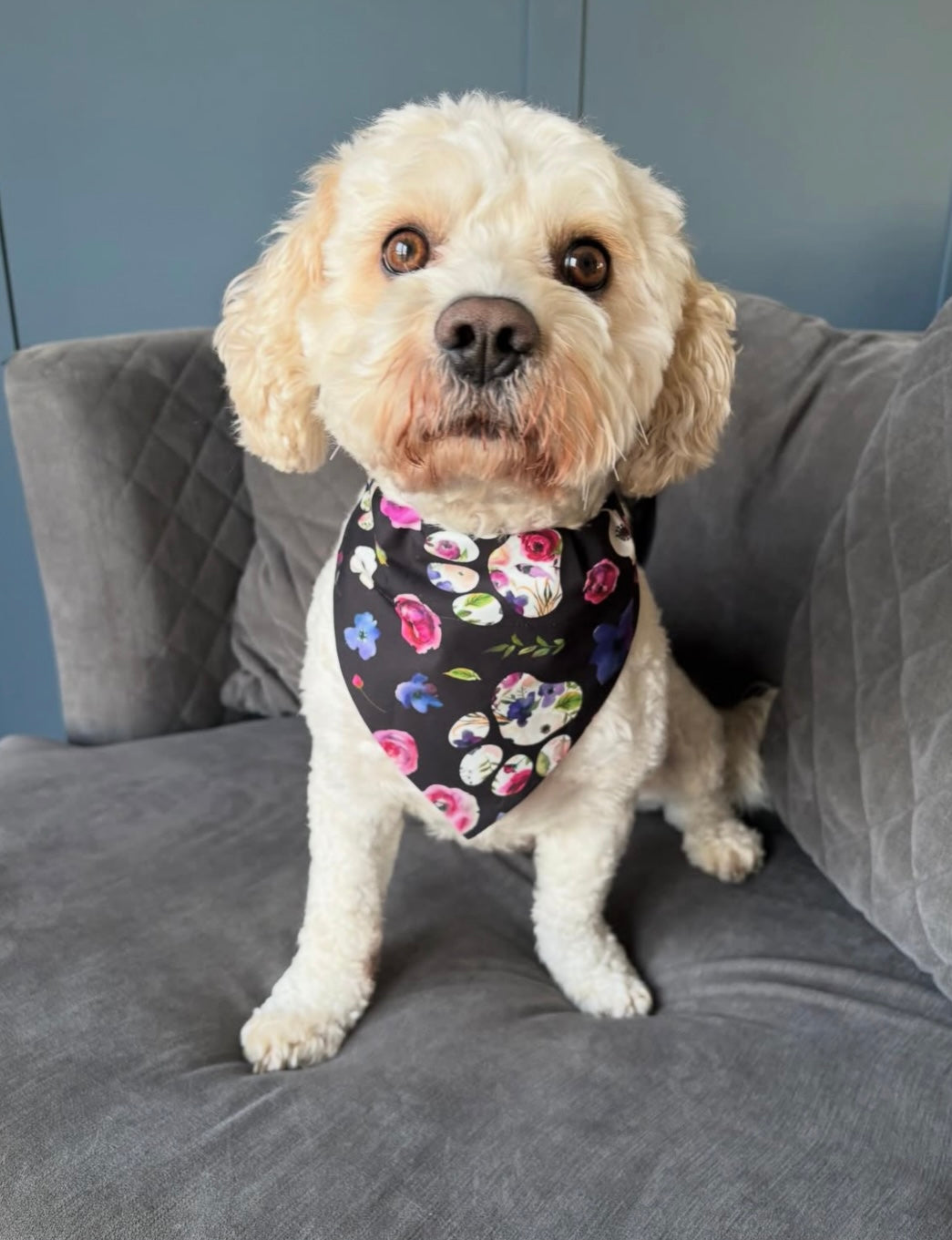Floral Paws Dog Bandana / Cat Bandana