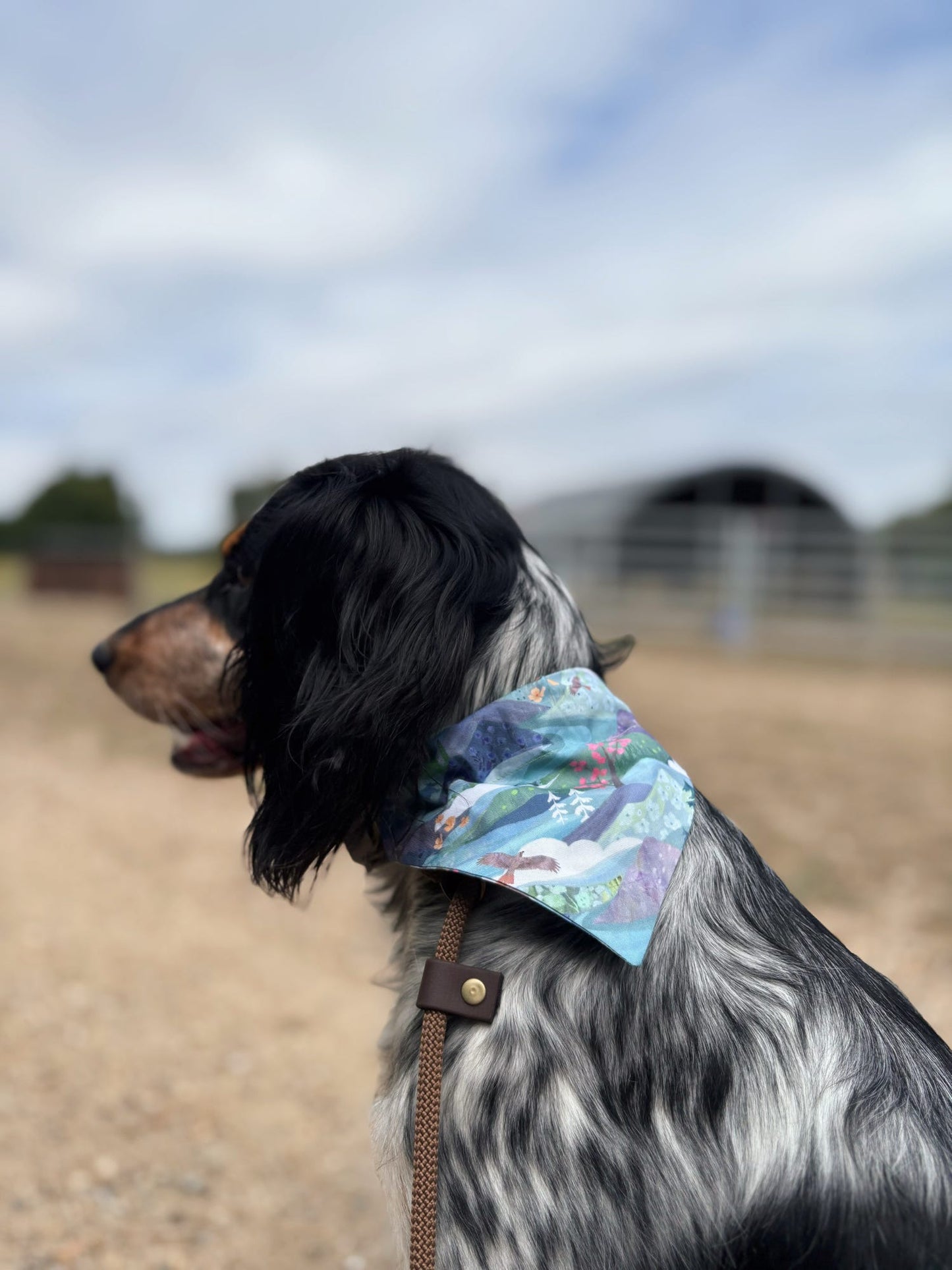 ‘Mountain Serenity’ Pet Bandana