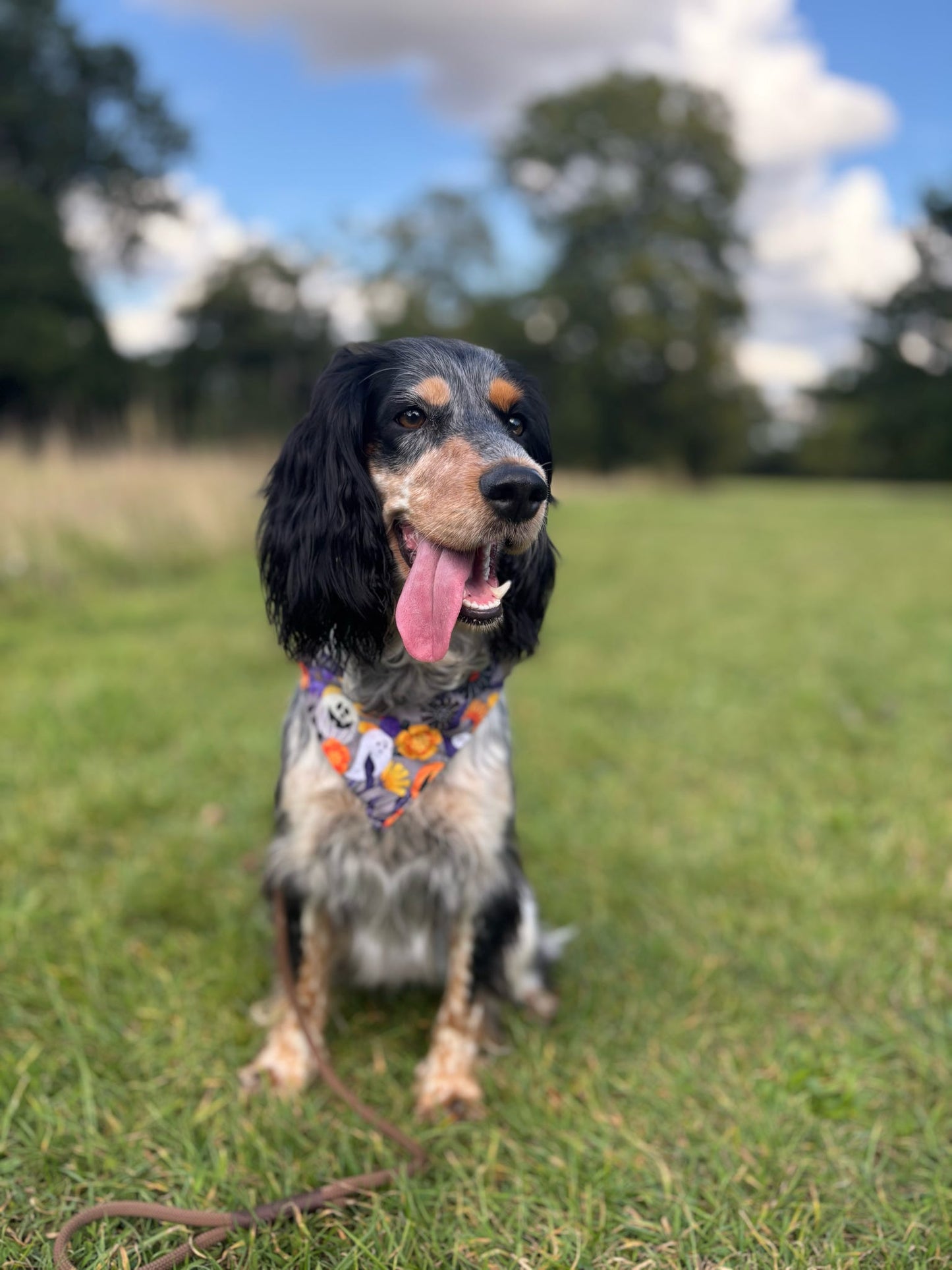 Hey Boo! Pet Bandana