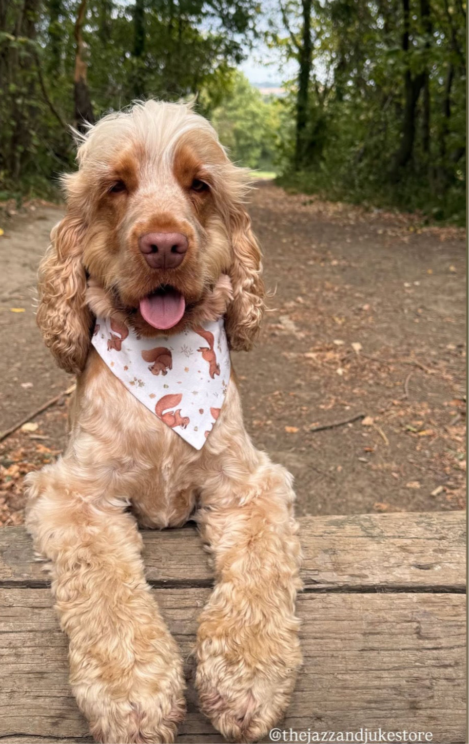 ‘Squirrel Patrol’ Dog Bandana/Cat Bandana