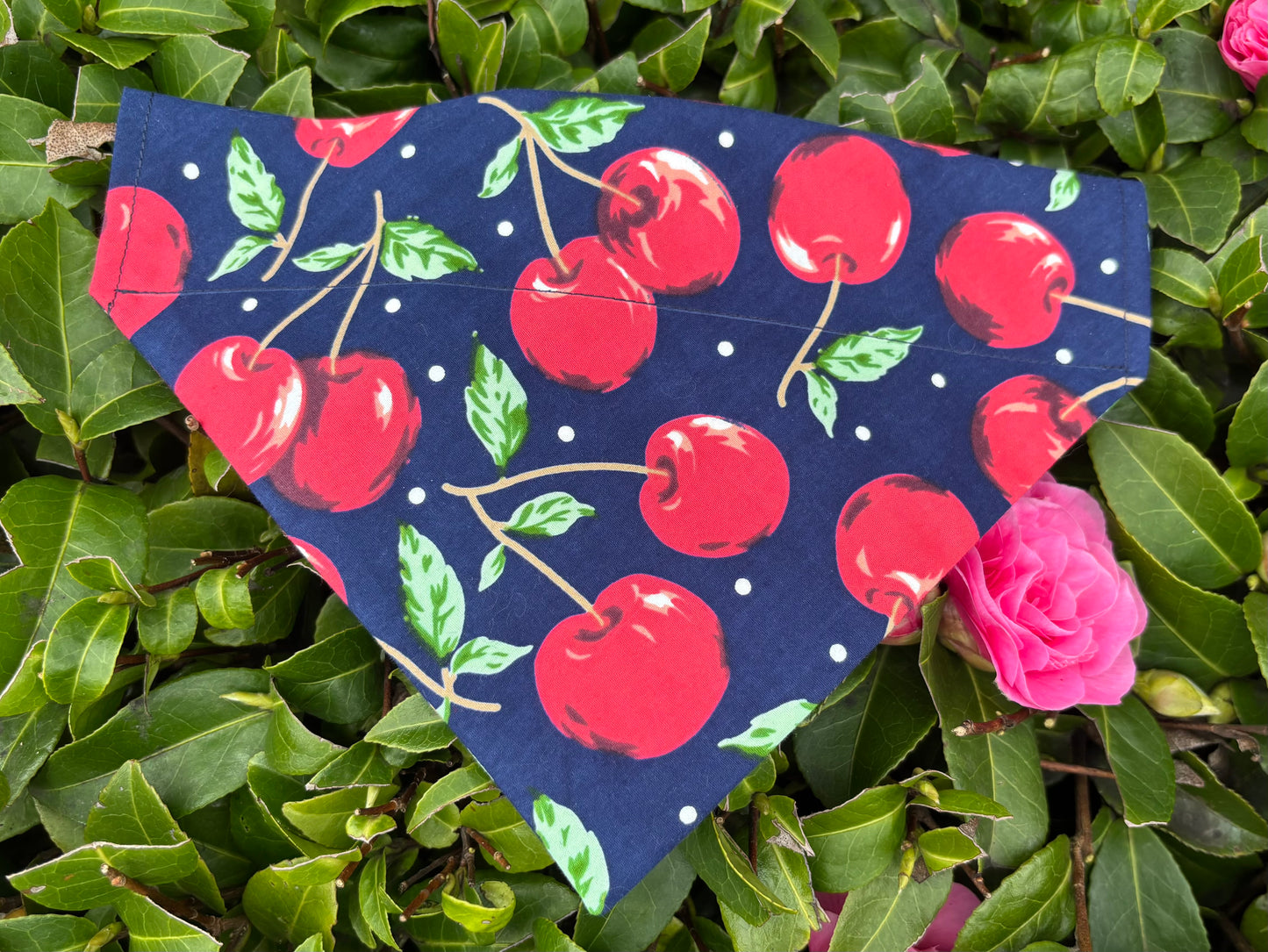Cherry On Top Dog Bandana / Cat Bandana