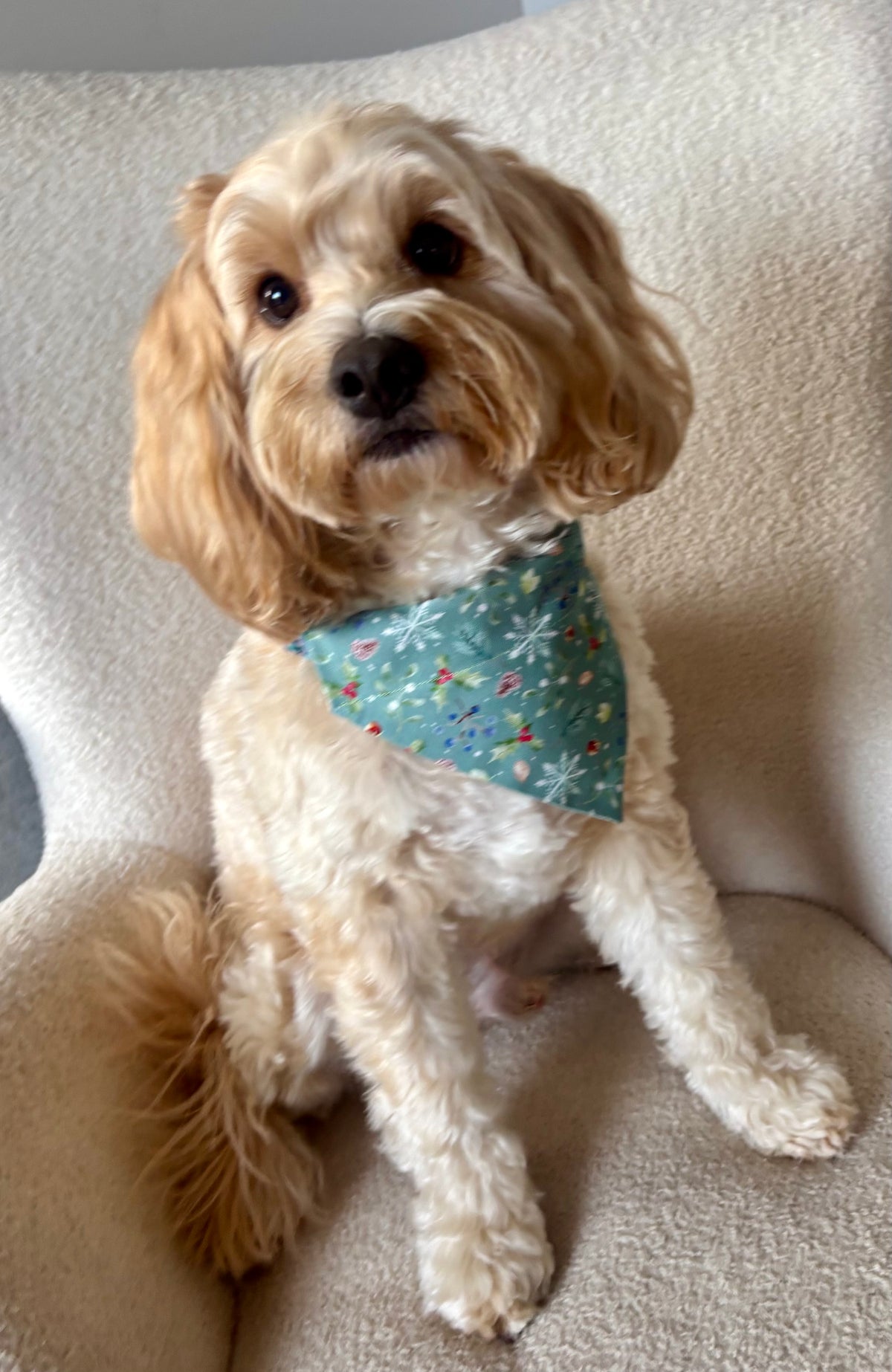 Winterberry Wishes Dog Bandana / Cat Bandana