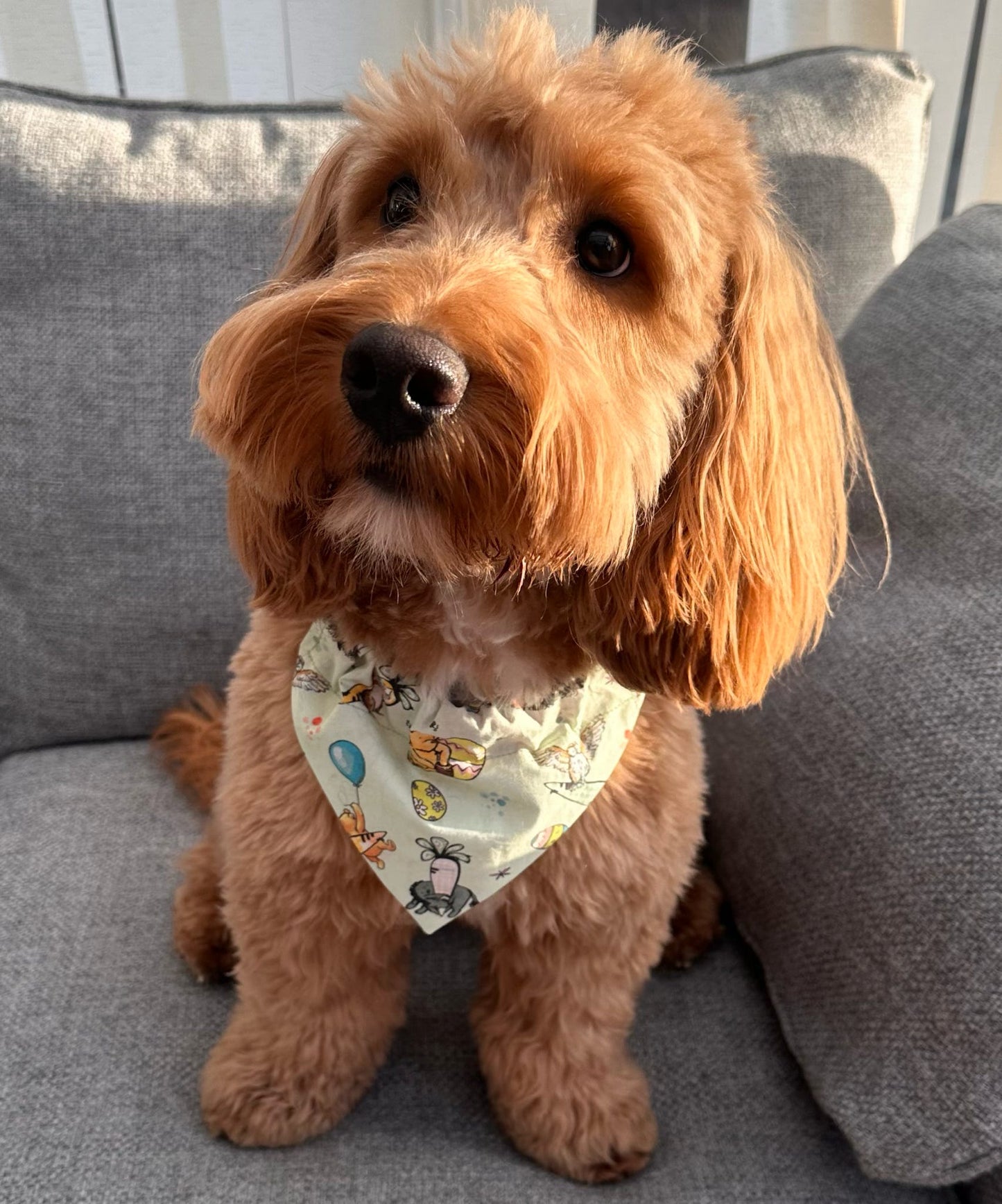 ‘Easter Winnie The Pooh’ Dog Bandana / Cat Bandana