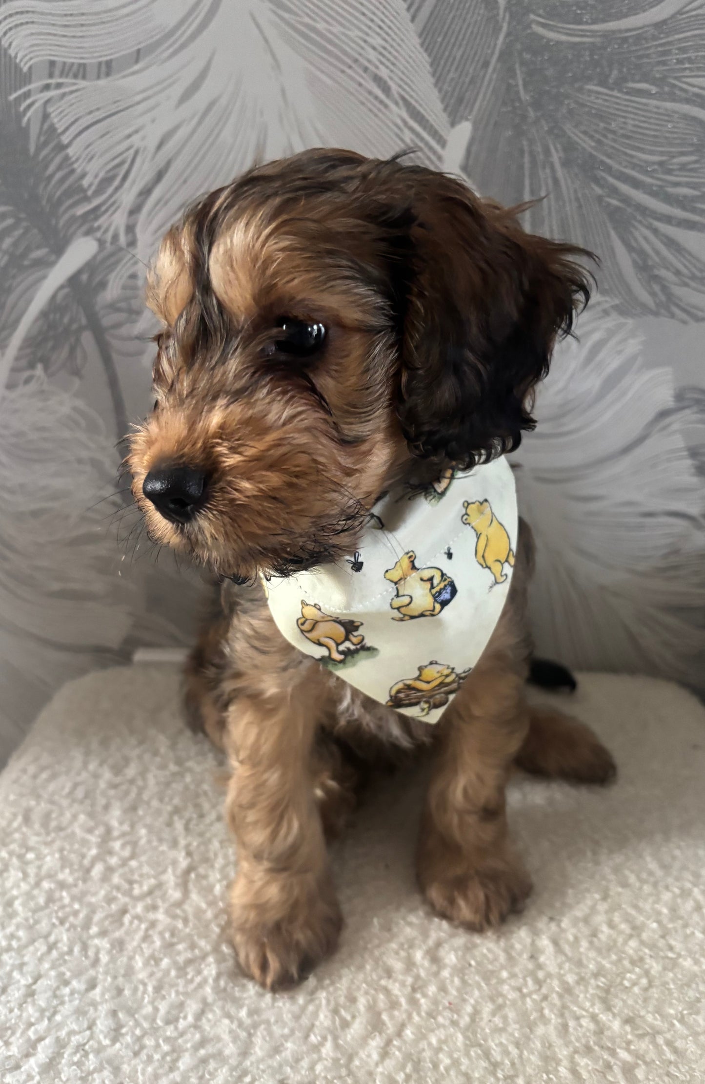 Winnie The Pooh Pet Bandana