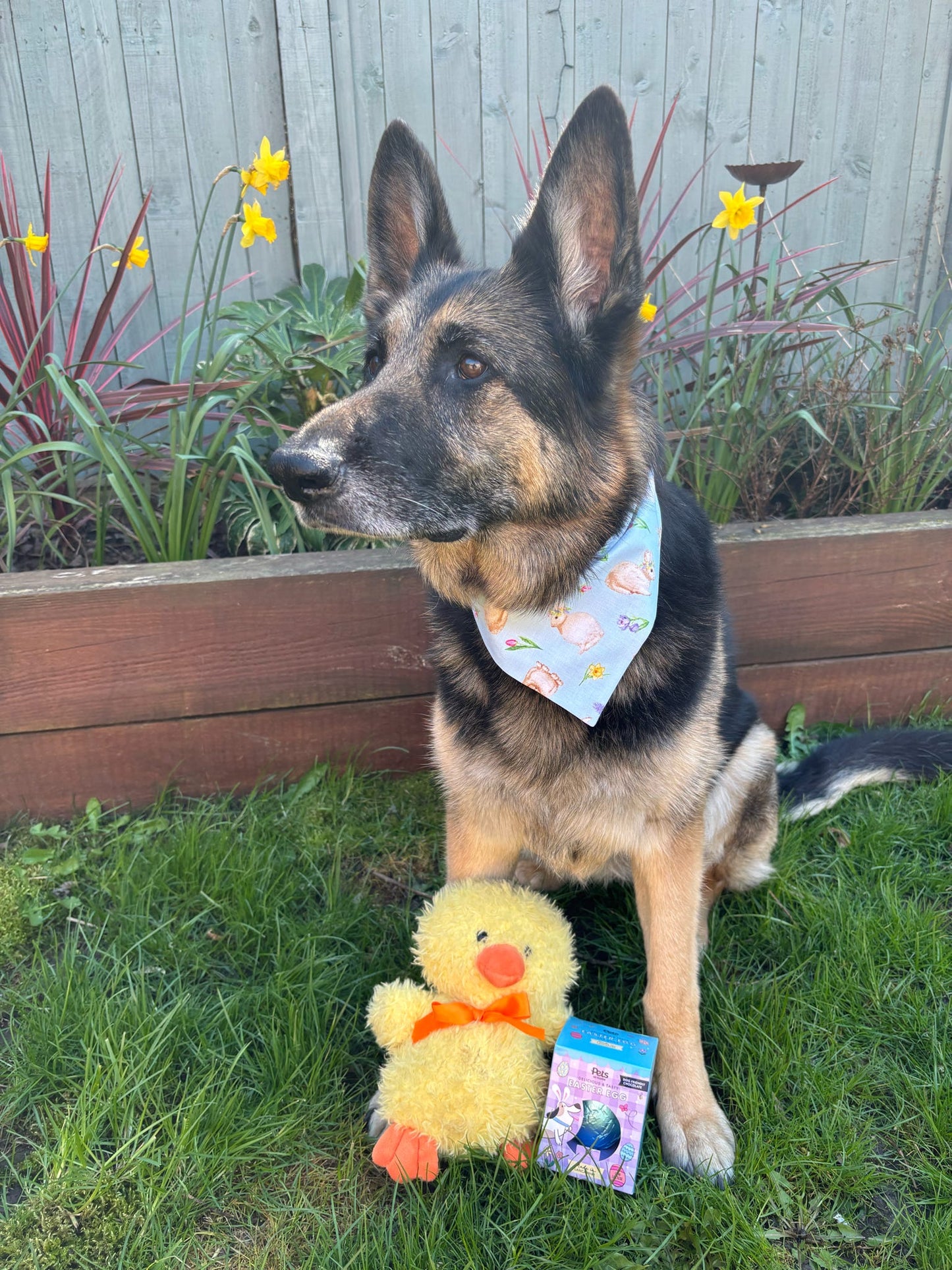 ‘Spring Bunny’ Dog Bandana / Cat Bandana