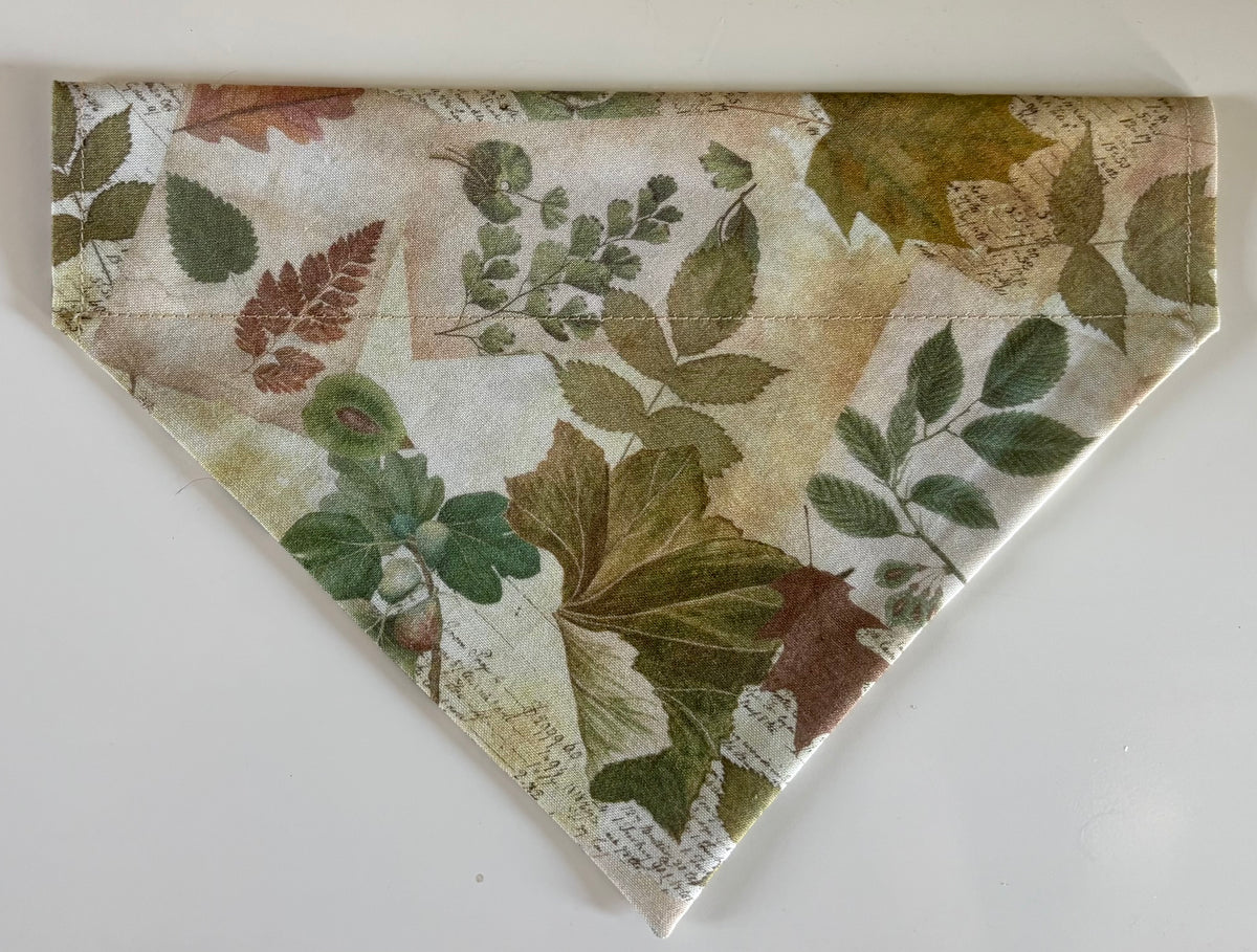 Chasing Leaves Dog Bandana / Cat Bandana