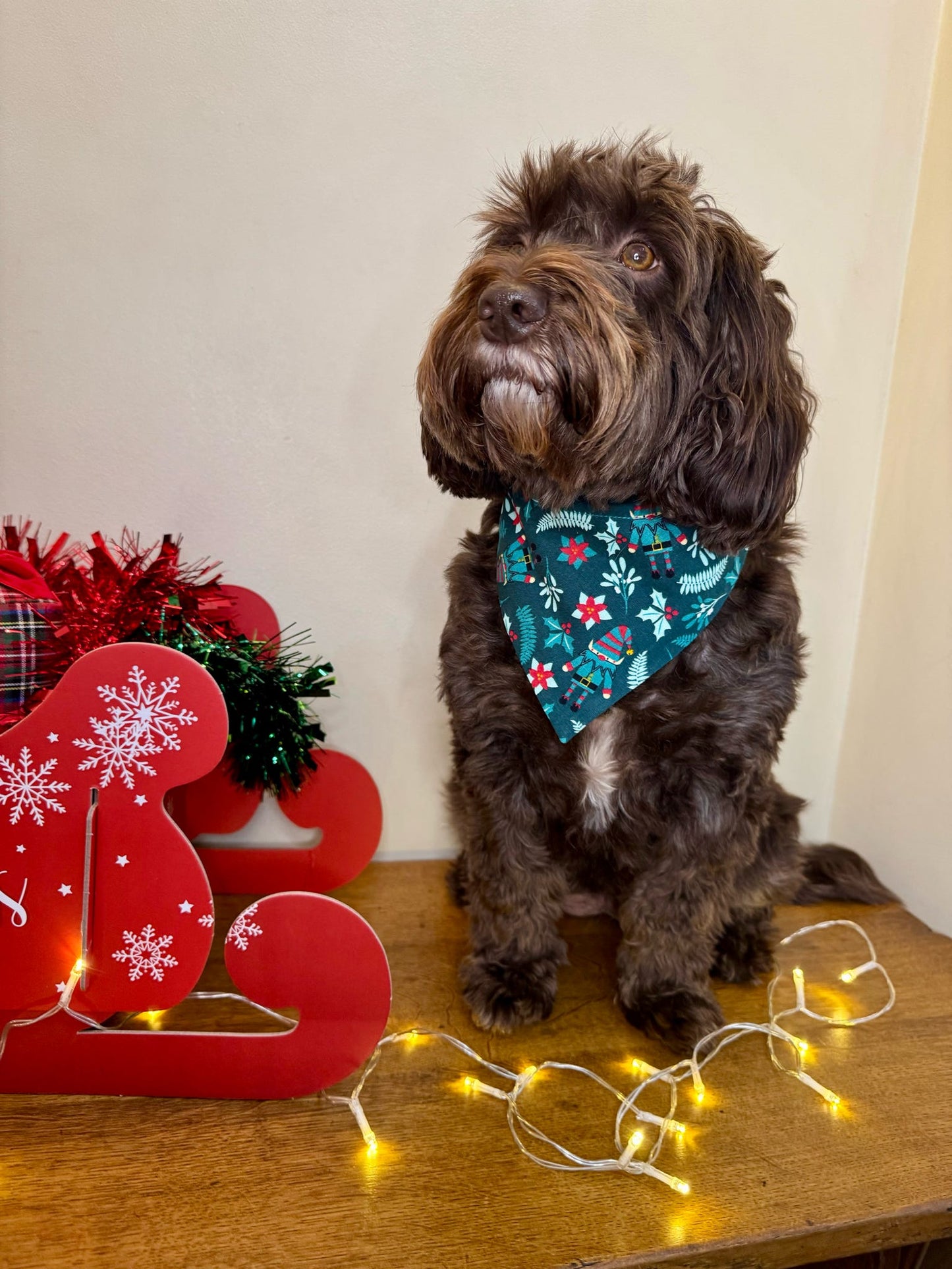 Express Your Elf Dog Bandana / Cat Bandana