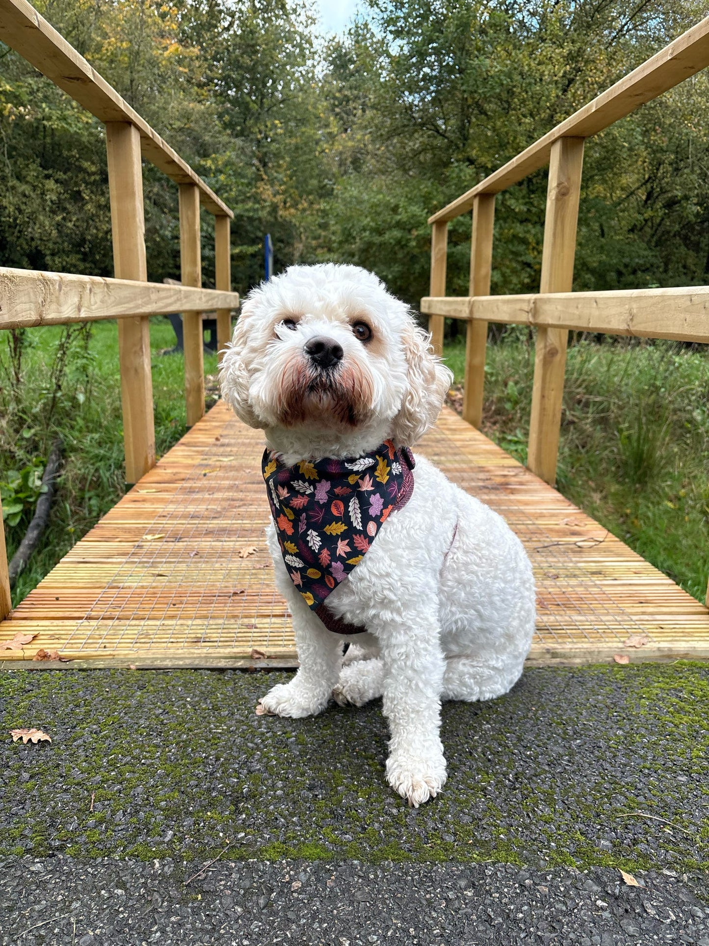 Fallen Leaves Dog Bandana / Cat Bandana