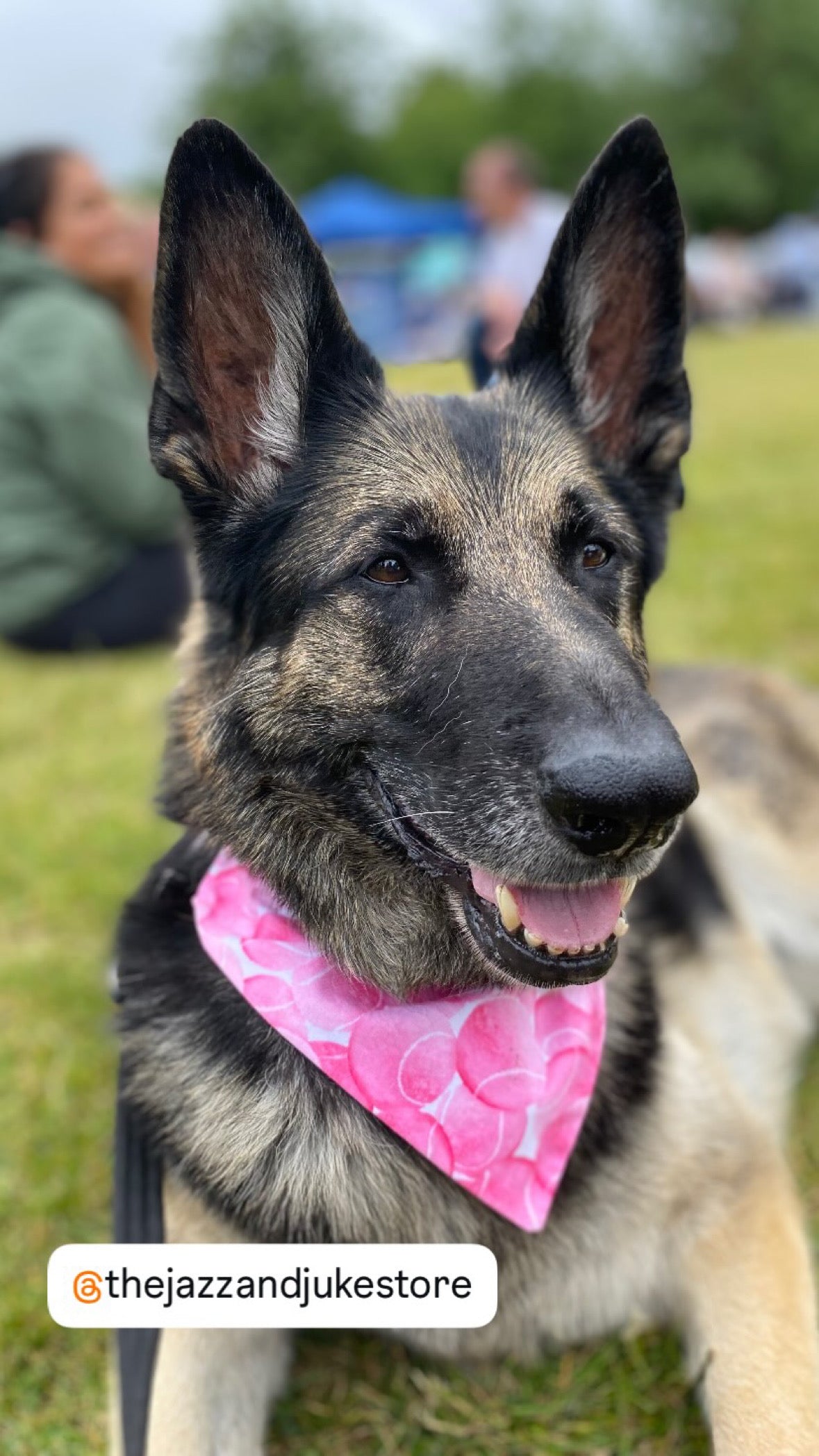 ‘So Fetch’ Pet Bandana