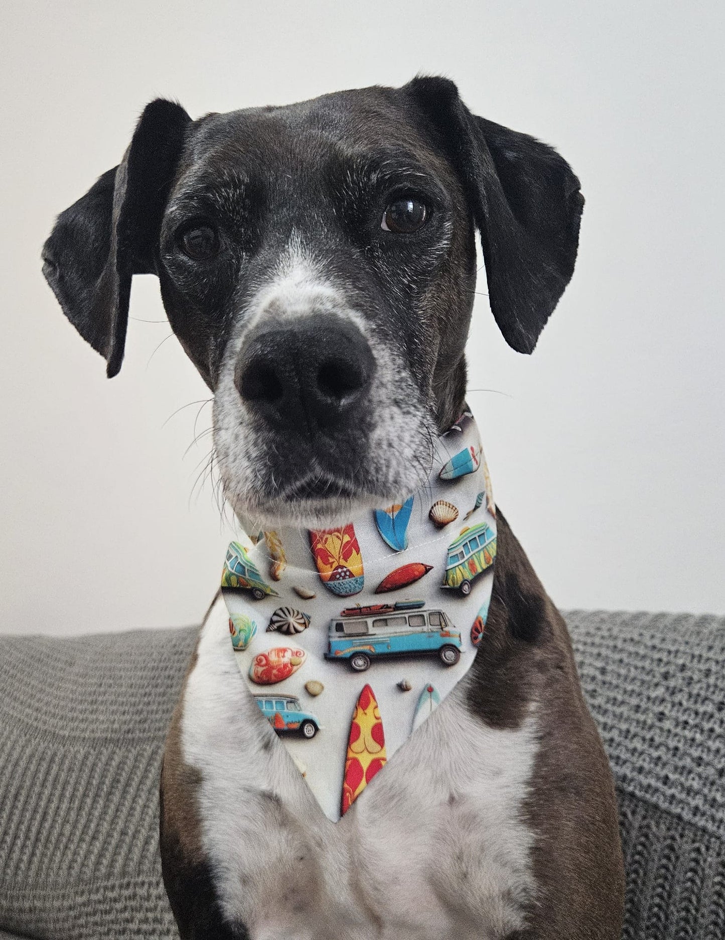 ‘Surfs Up’ Pet Bandana