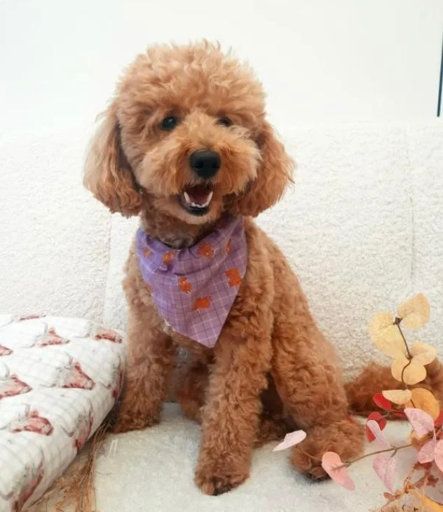 ‘Highland Cow’ (Heather) Pet Bandana