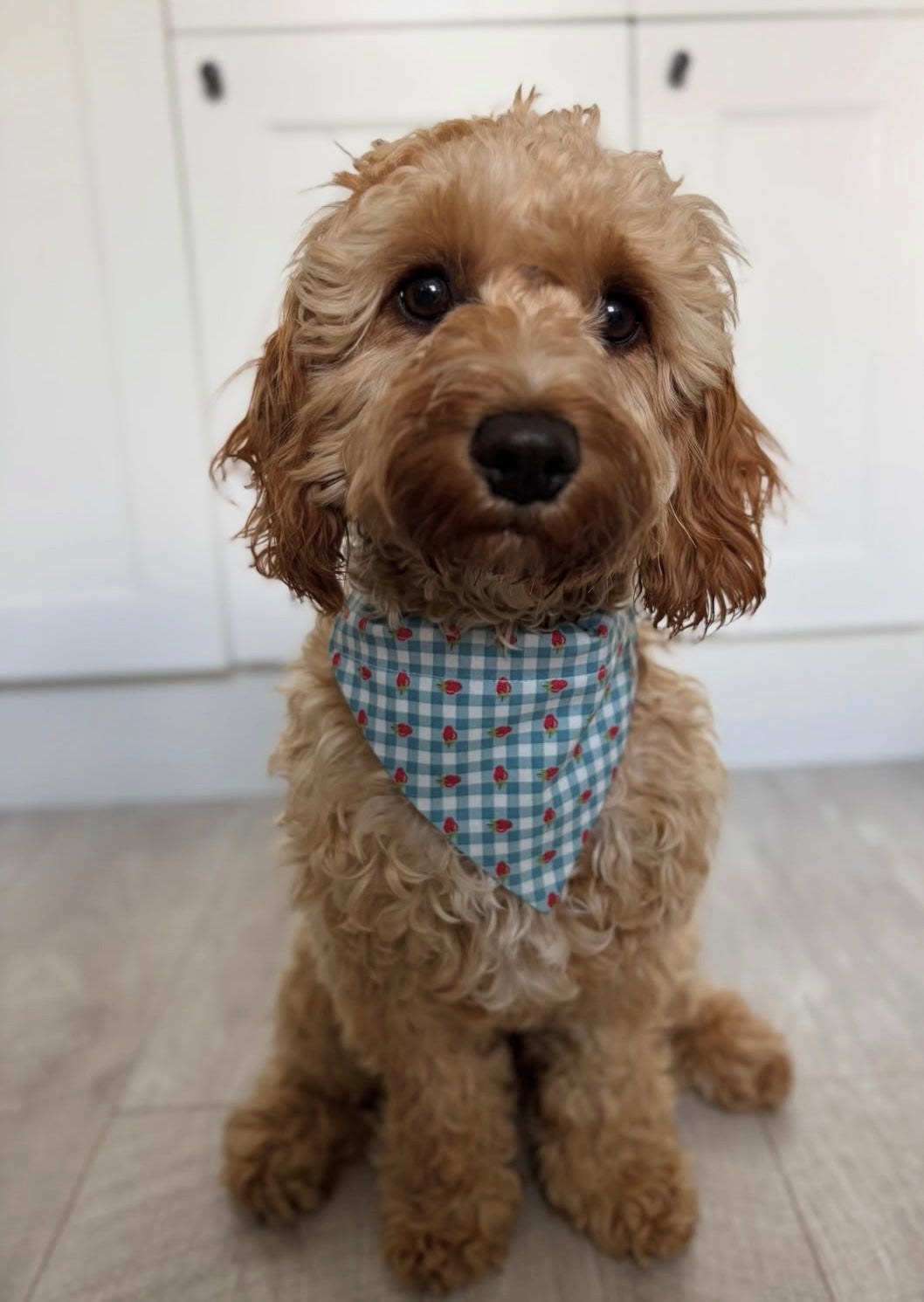 ‘Strawberry Picnic’ Pet Bandana