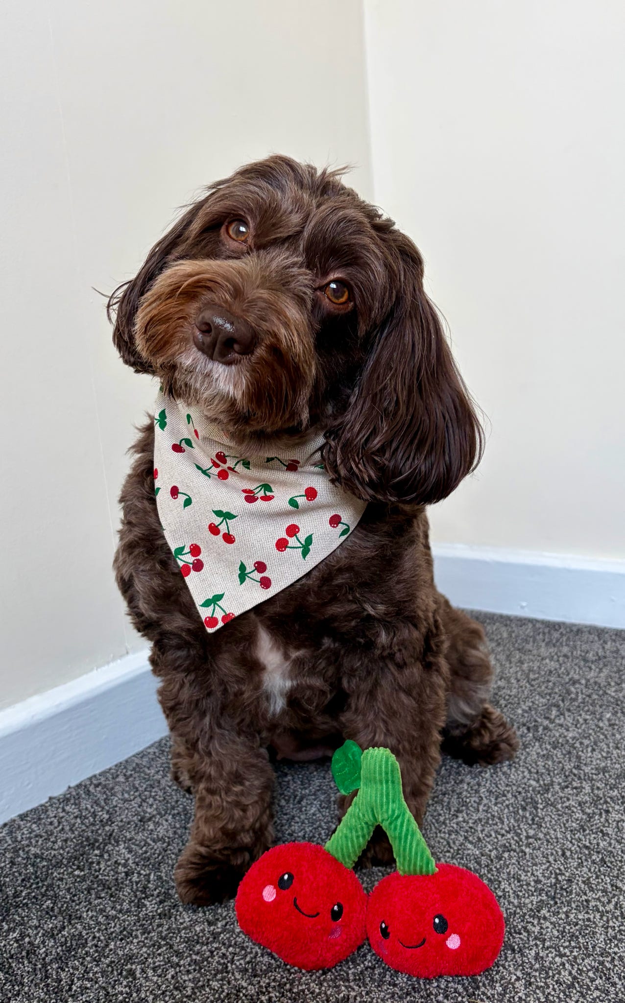 ‘Cherry Cute’ Pet Bandana