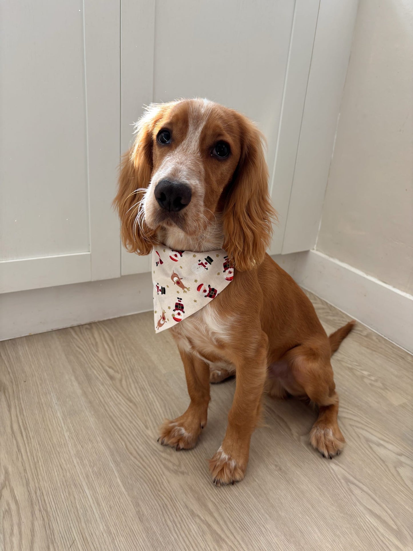 ‘Christmas Crew’ Pet Bandana