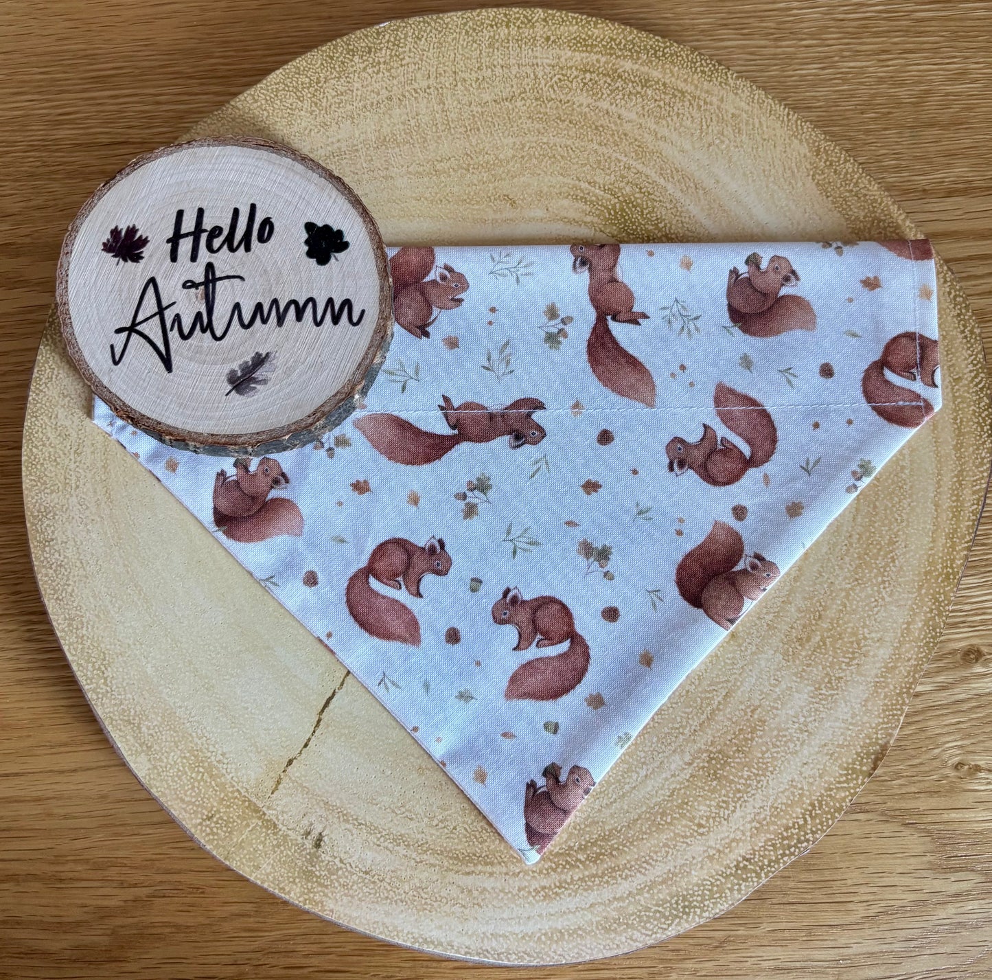 ‘Squirrel Patrol’ Dog Bandana/Cat Bandana