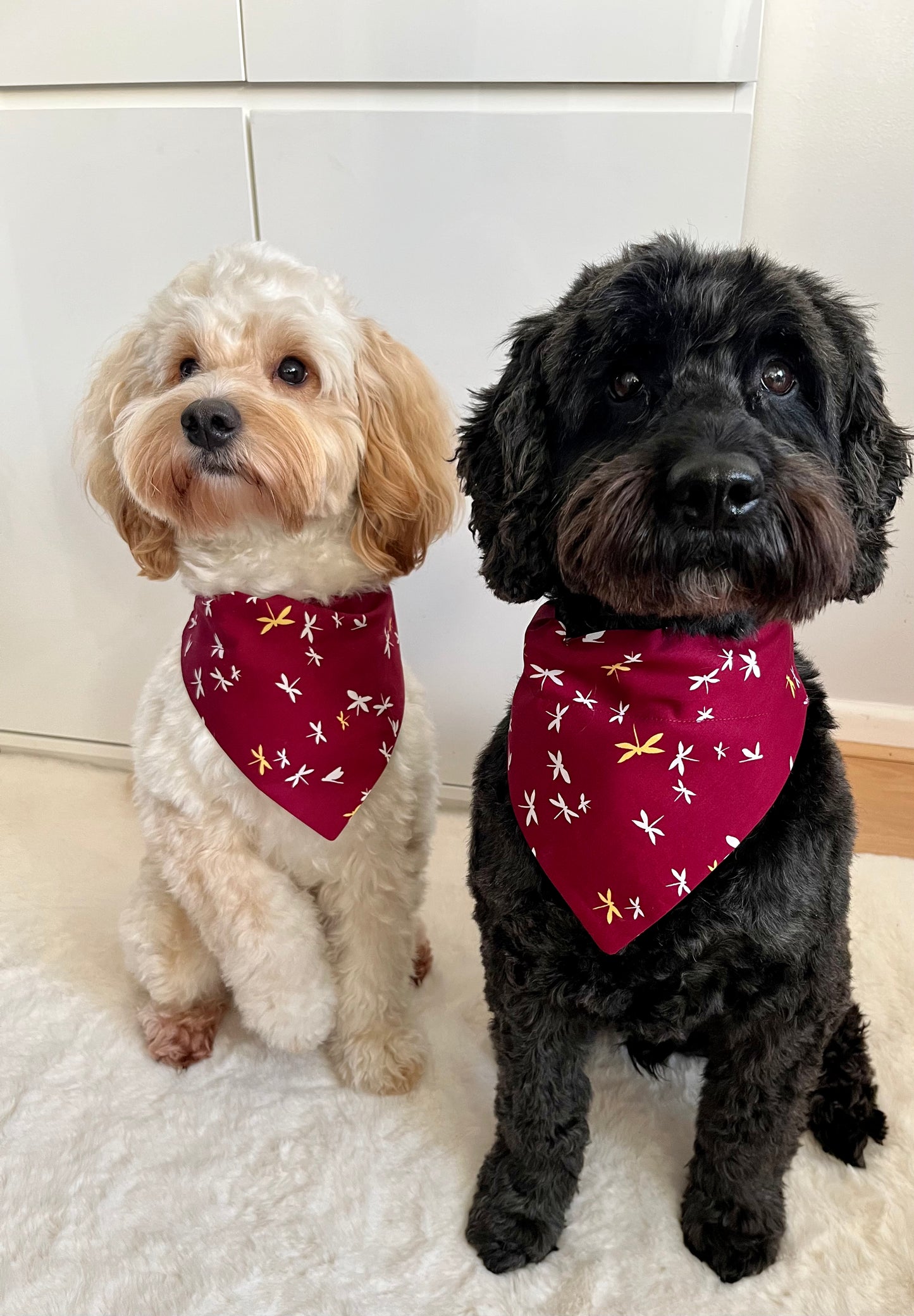 ‘Fly High’ Pet Bandana