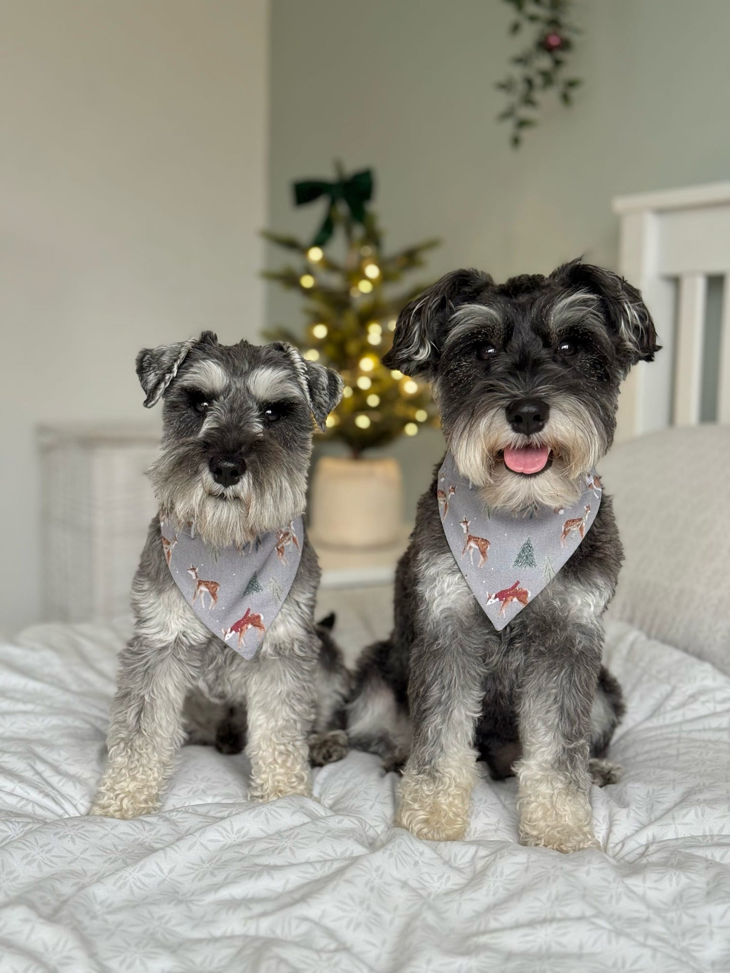 Forest Fawn Dog Bandana / Cat Bandana