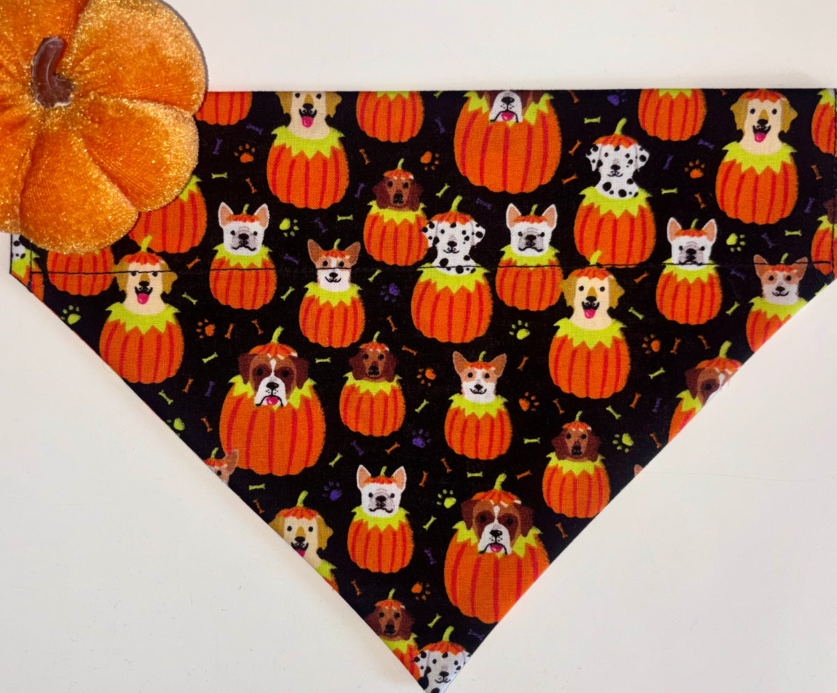 Pumpkin Pups Dog Bandana / Cat Bandana