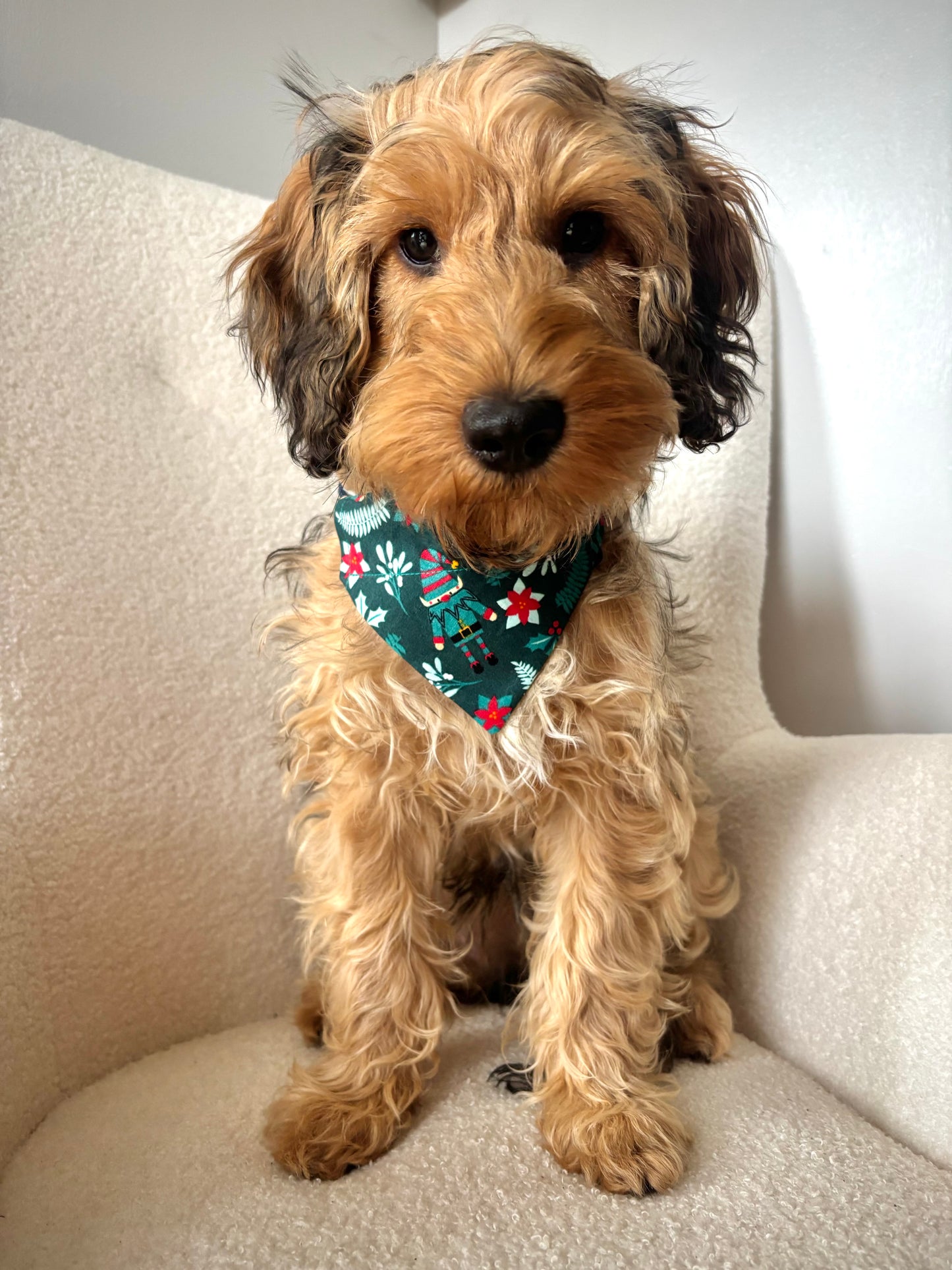 Express Your Elf Dog Bandana / Cat Bandana