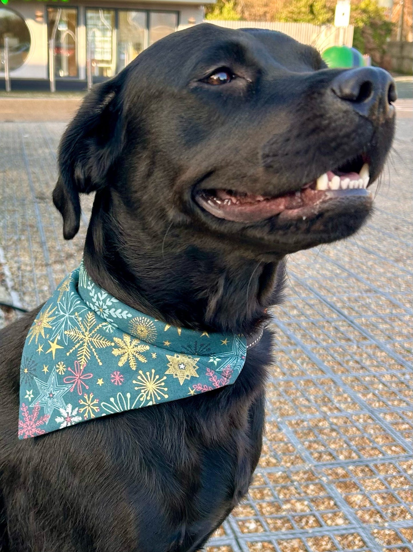 ‘Best In Snow’ Pet Bandana