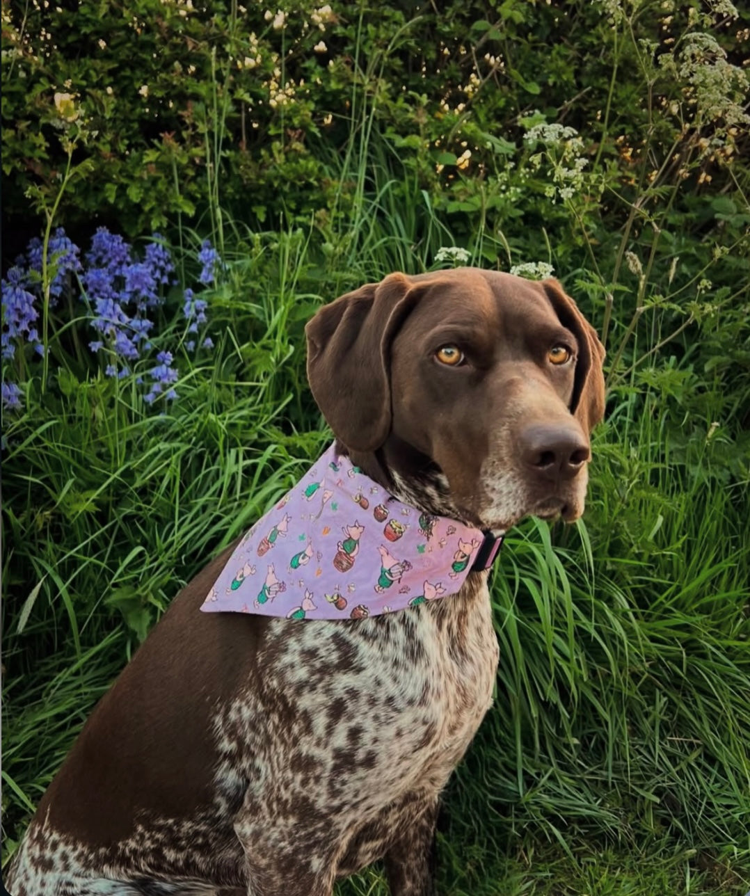 ‘Piglet’ Pet Bandana