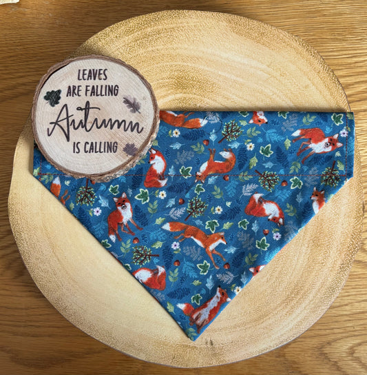 ‘Foxy’ Dog Bandana / Cat Bandana