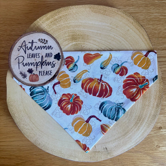 ‘Autumn Pumpkins’ Dog Bandana / Cat Bandana