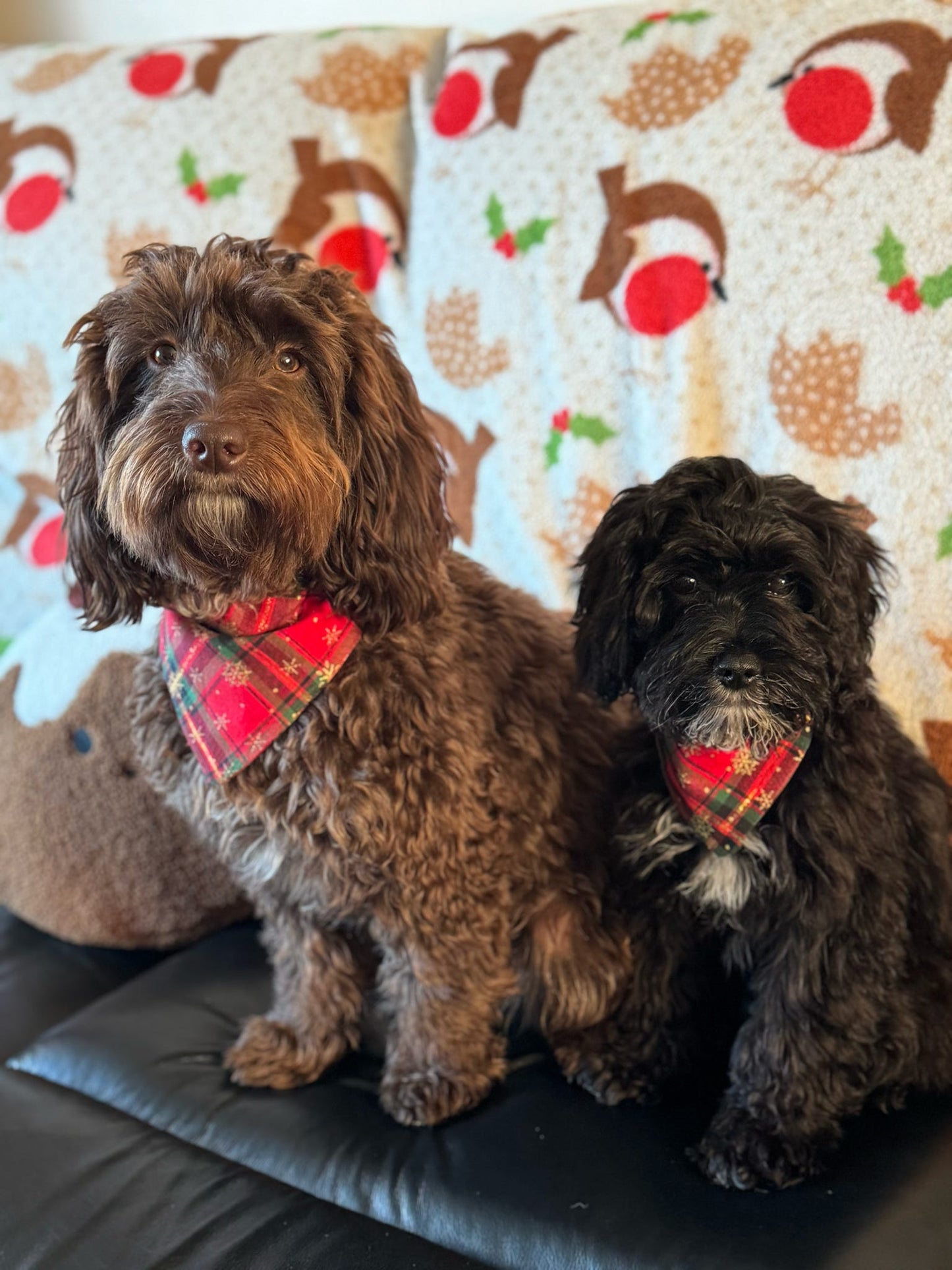 ‘Tartan-tastic’ Pet Bandana