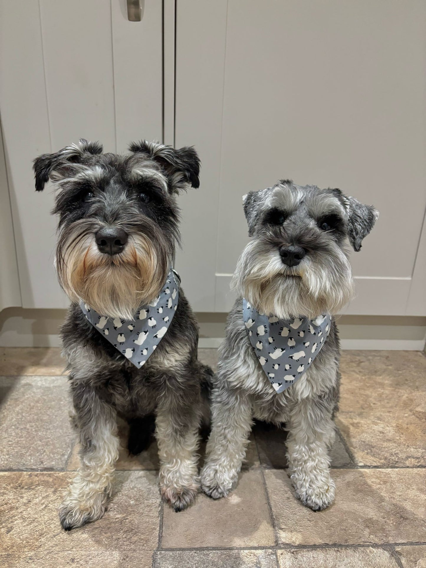 ‘Just For Ewe’ Pet Bandana