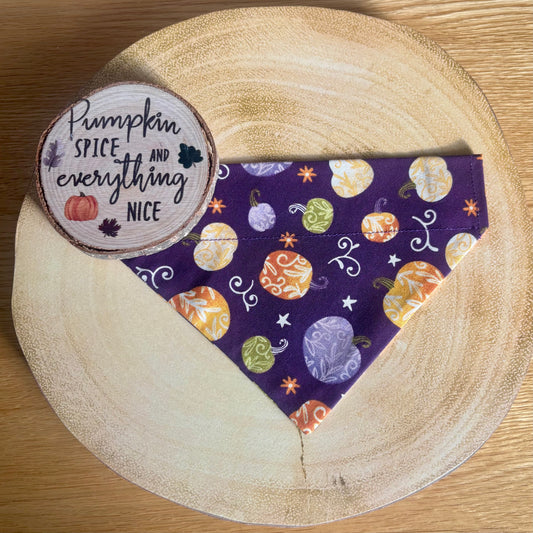 ‘Pumpkin Spice’ Pet Bandana