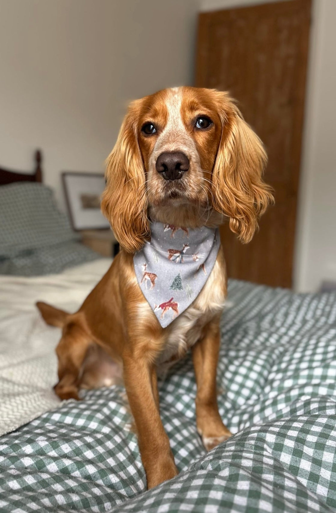 Forest Fawn Dog Bandana / Cat Bandana