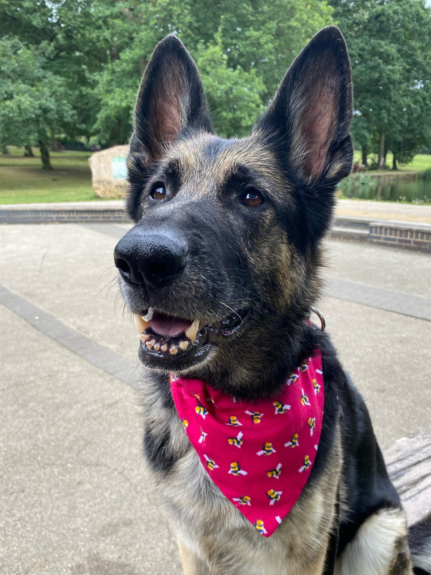 ‘Bee-utiful’ Pet Bandana (Cerise)