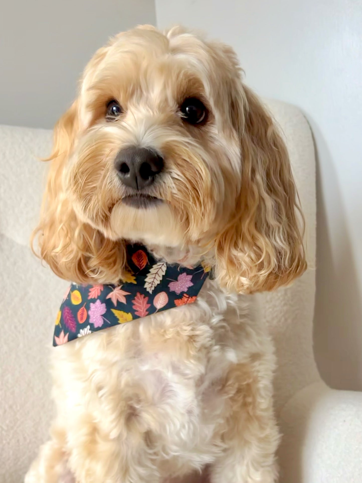 Fallen Leaves Dog Bandana / Cat Bandana