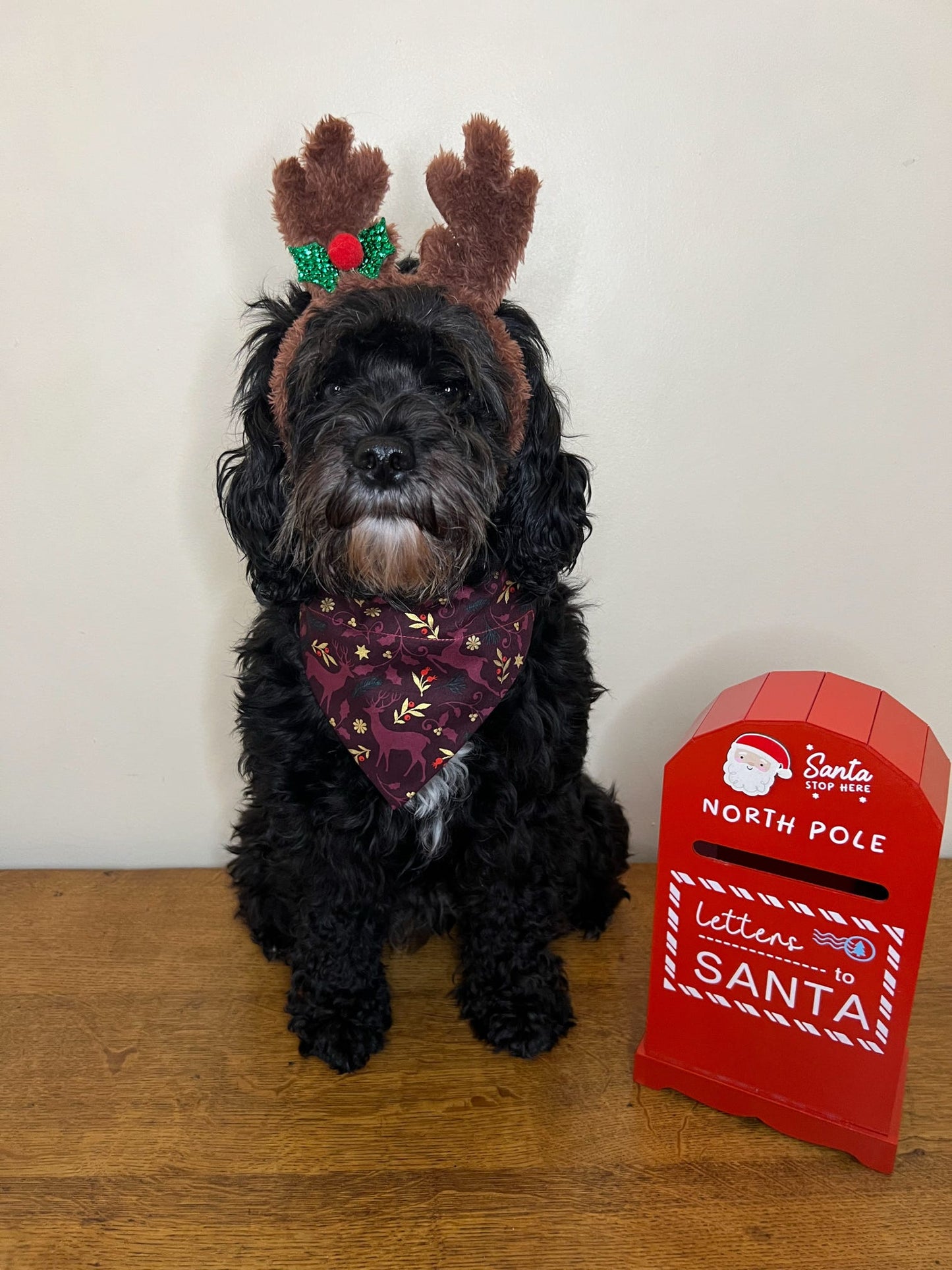 ‘Reindeer Magic’ Pet Bandana