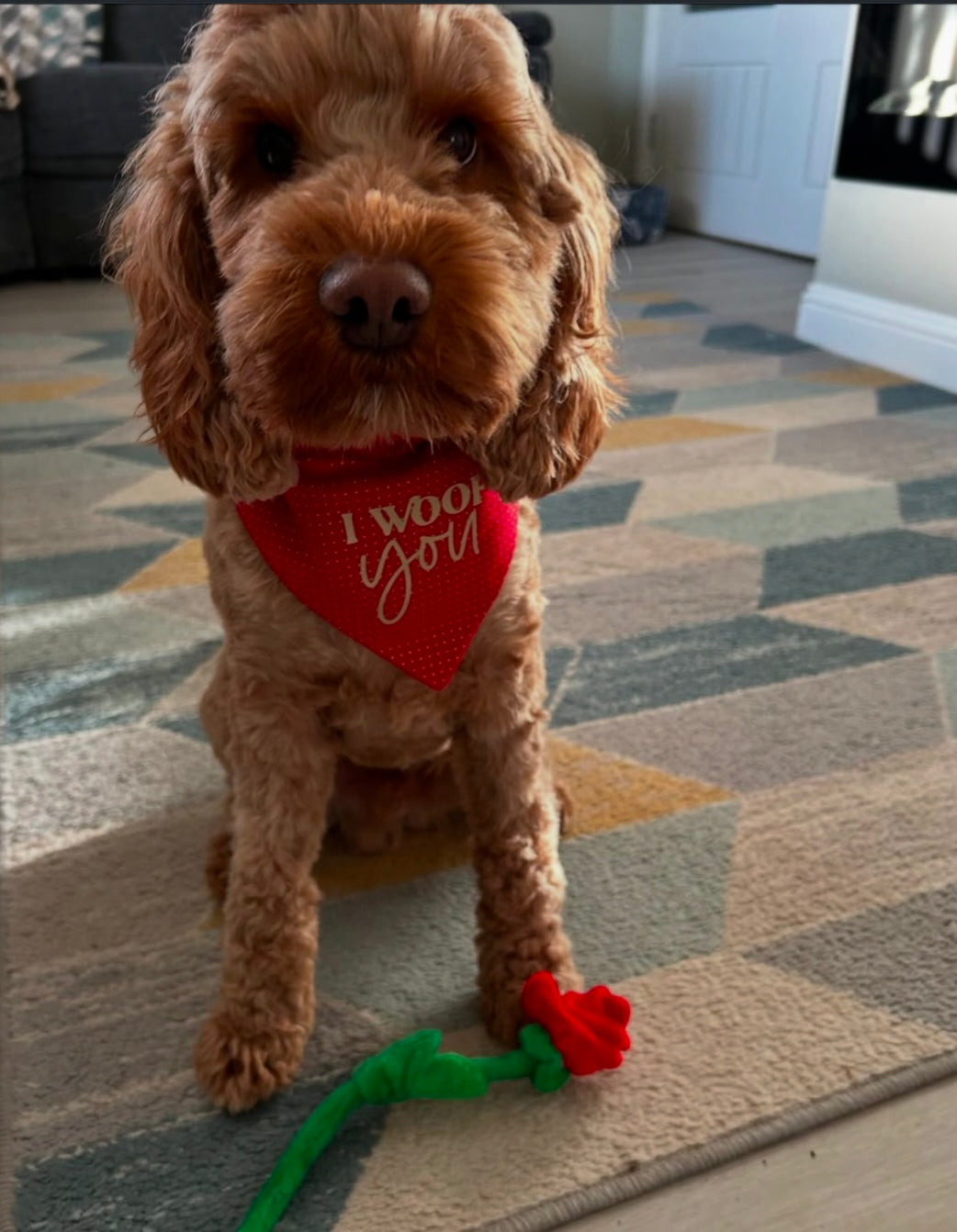 ‘I Woof You’ Pet Bandana