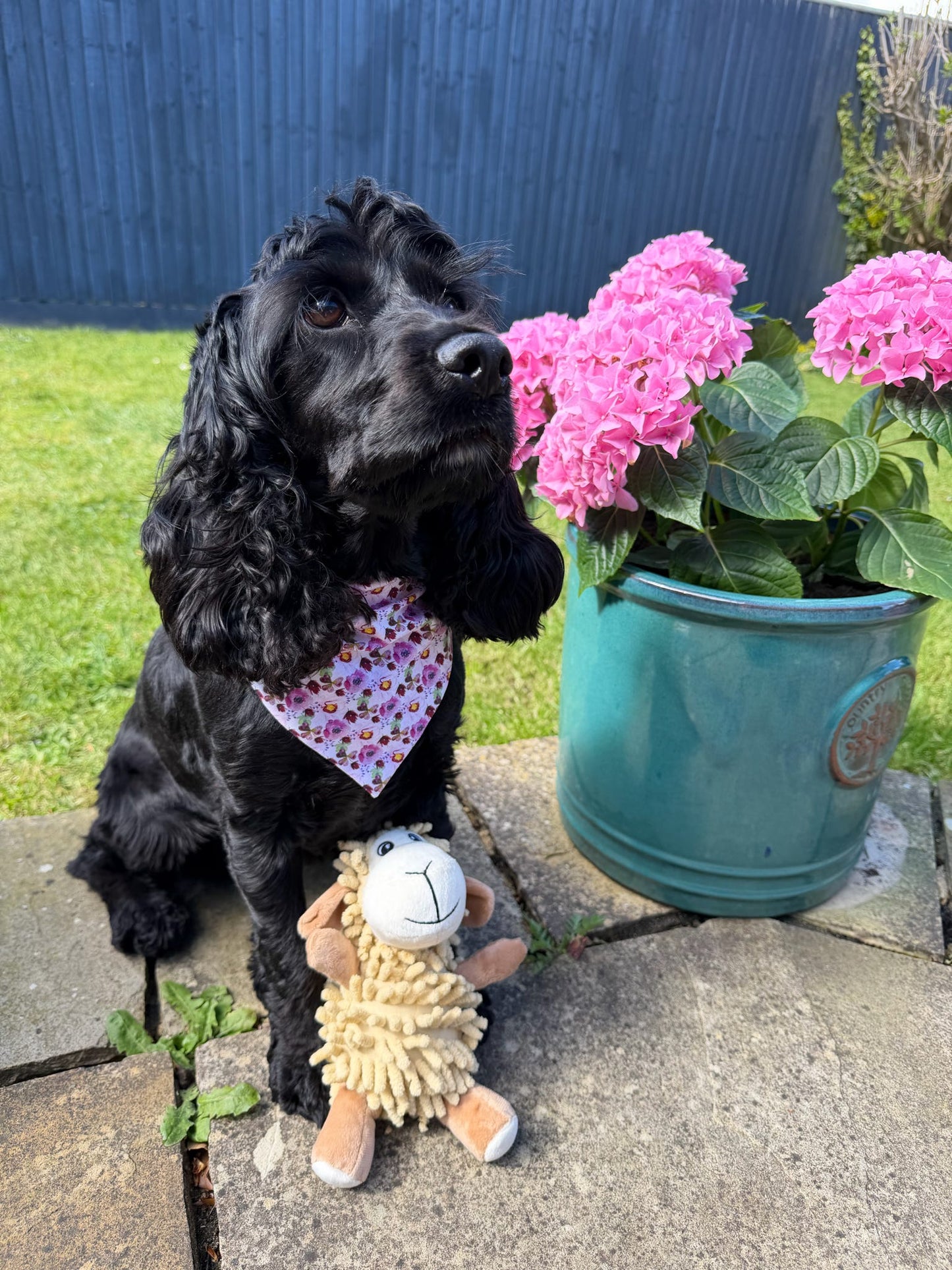 Pretty Petals Dog Bandana / Cat Bandana