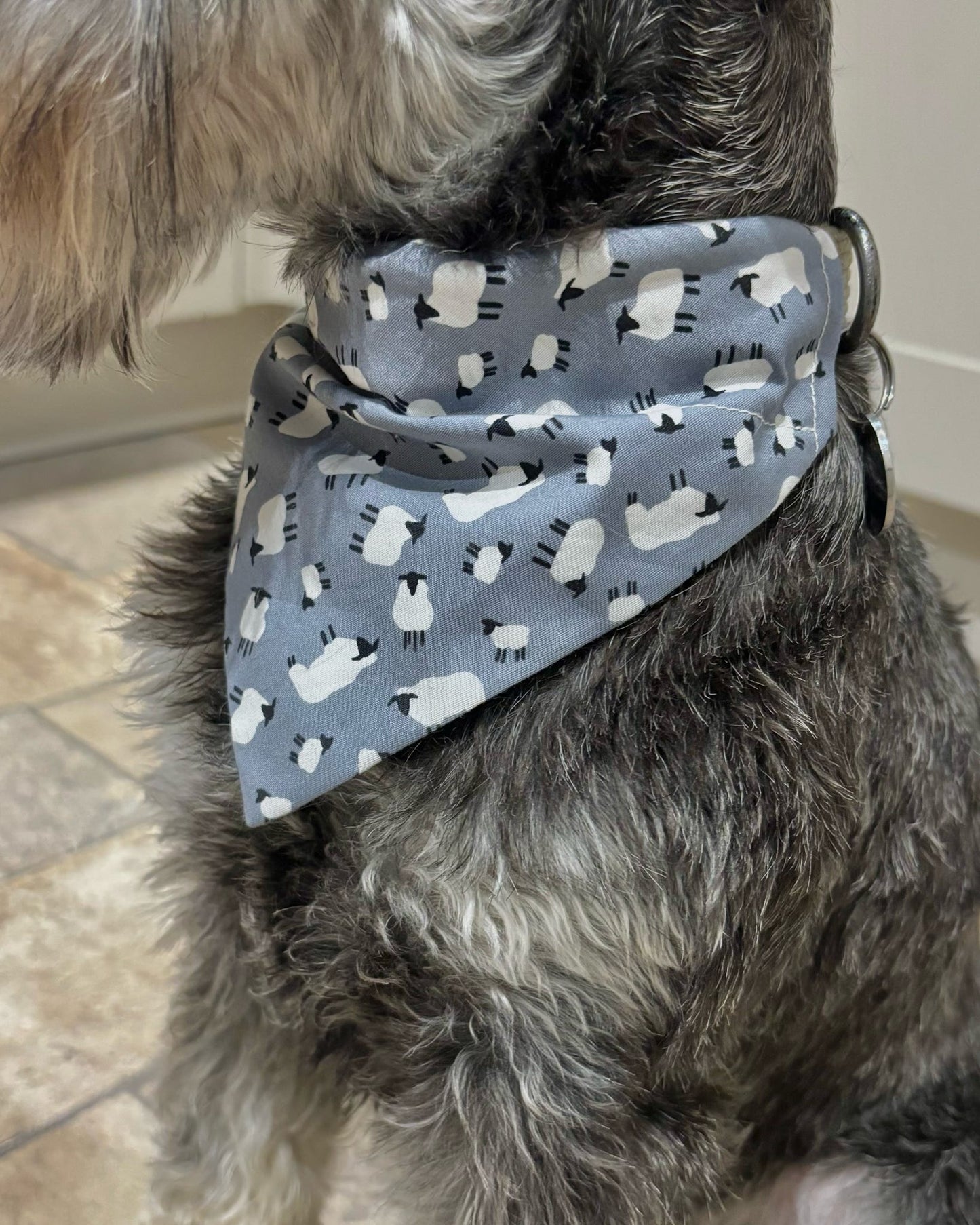 ‘Just For Ewe’ Pet Bandana