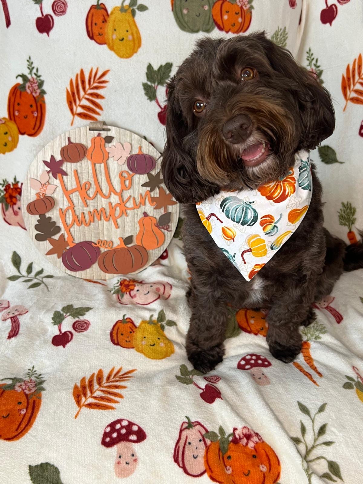 ‘Autumn Pumpkins’ Dog Bandana / Cat Bandana