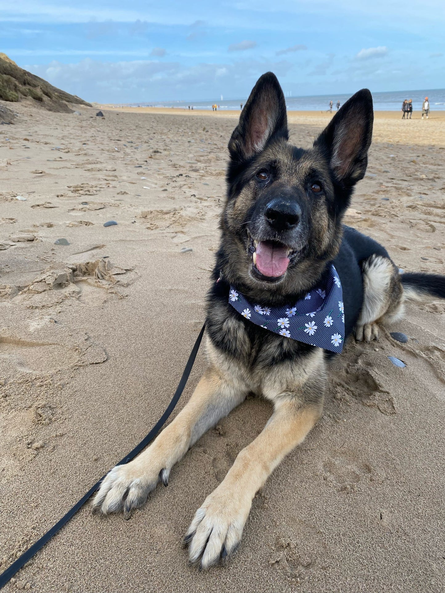 ‘Daisy Chain’ Pet Bandana
